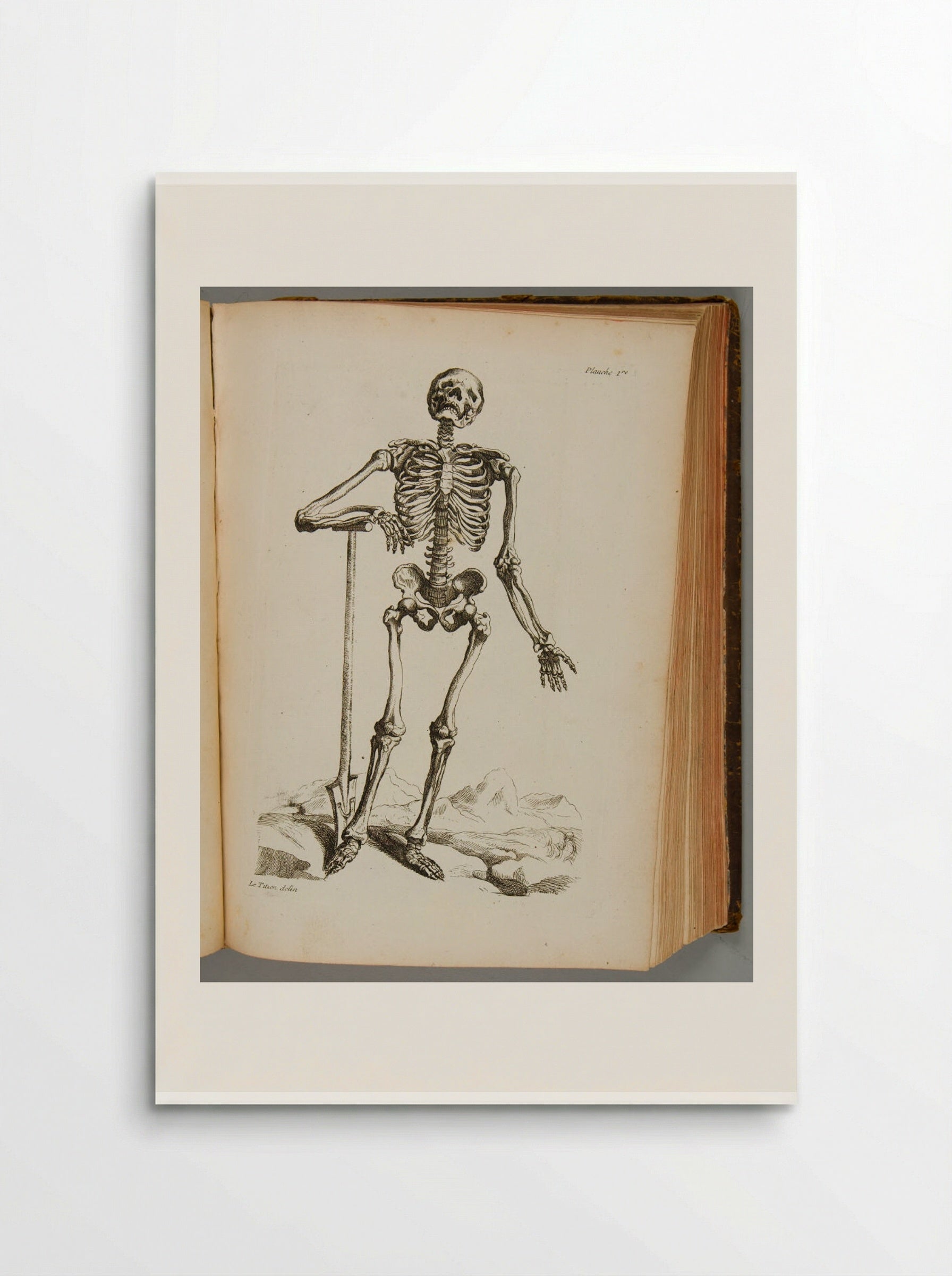 Planche 1re (Skeleton with Spade) - Various Artists - Poster