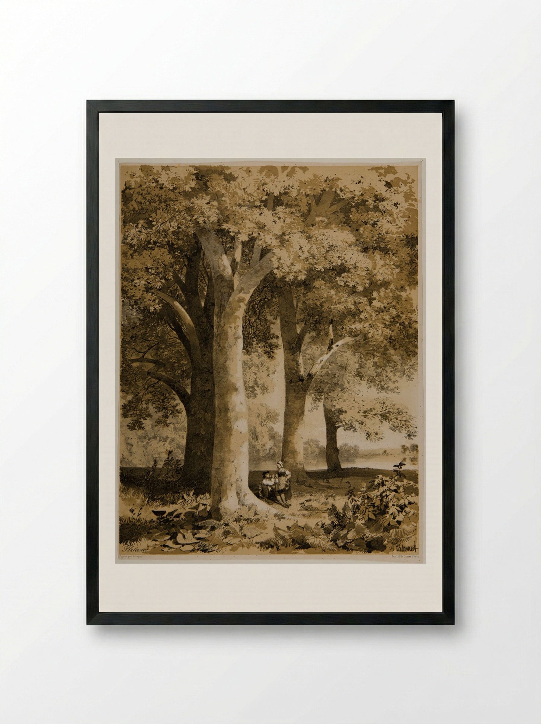 Plane-Trees - Alexandre Calame - Framed Print Black
