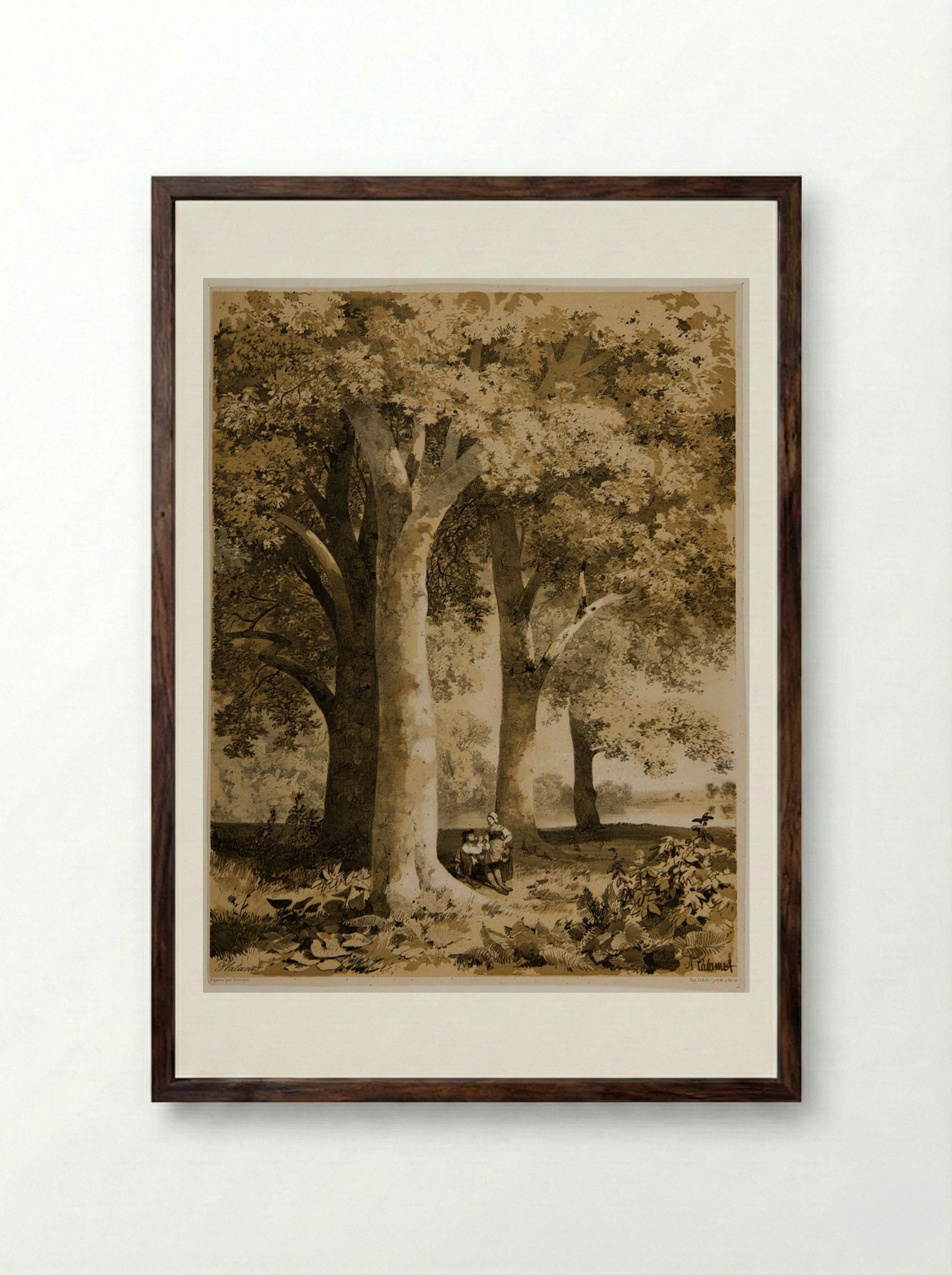 Plane-Trees - Alexandre Calame - Framed Print Dark Wood