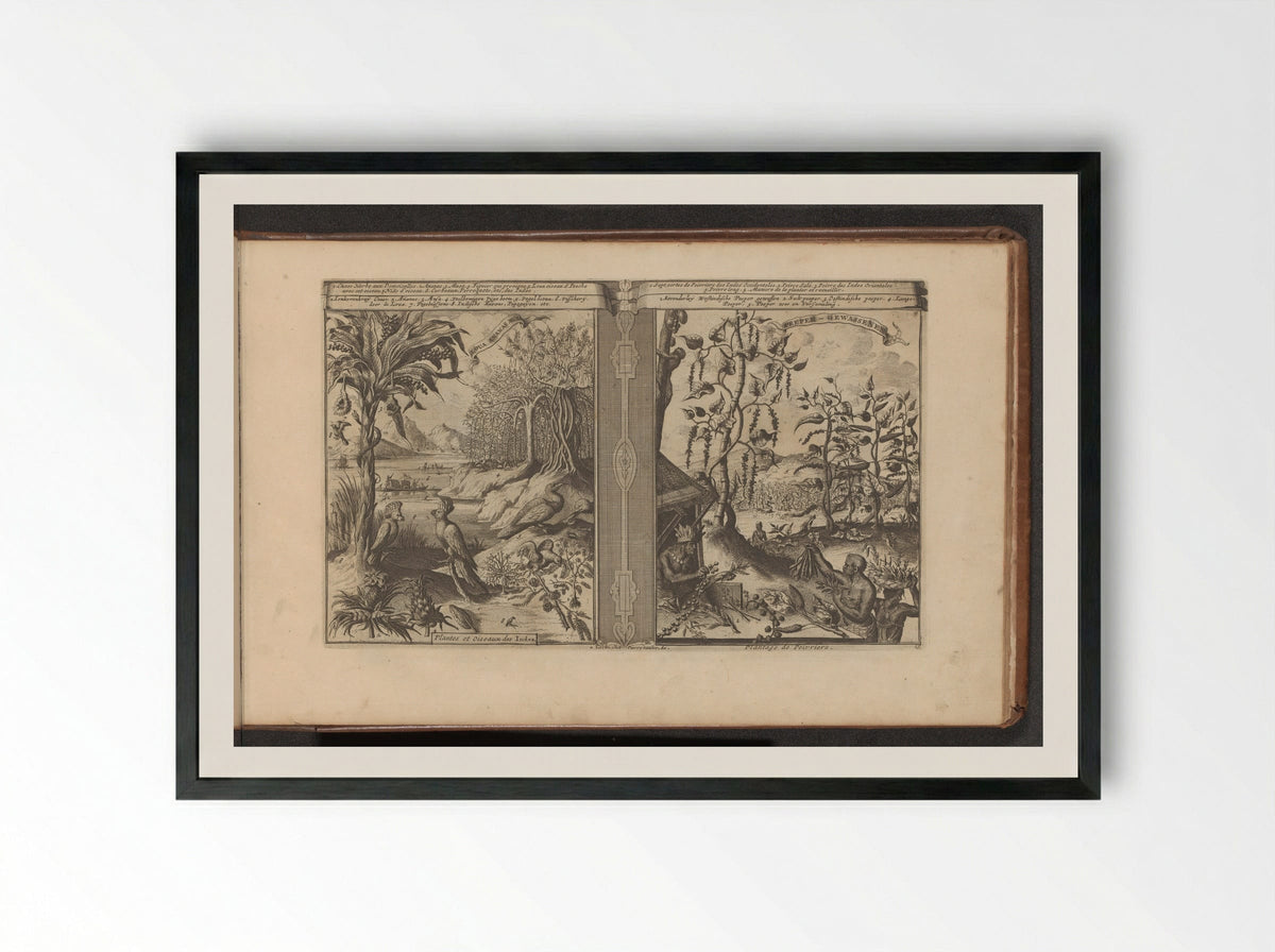 Planten, vogels en pepervelden - Romeyn de Hooghe - Framed Print Black