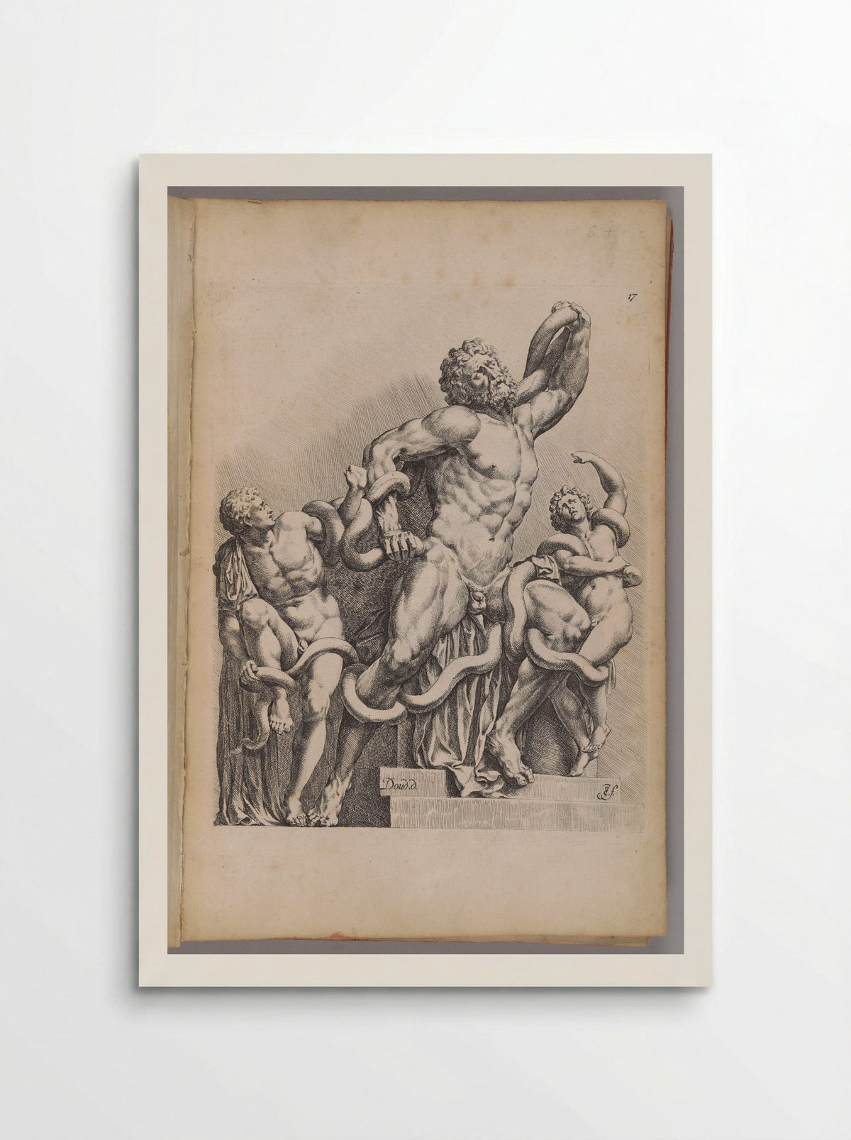 Plate 17: Laocoon and his Sons - Jan de Bisschop - Poster