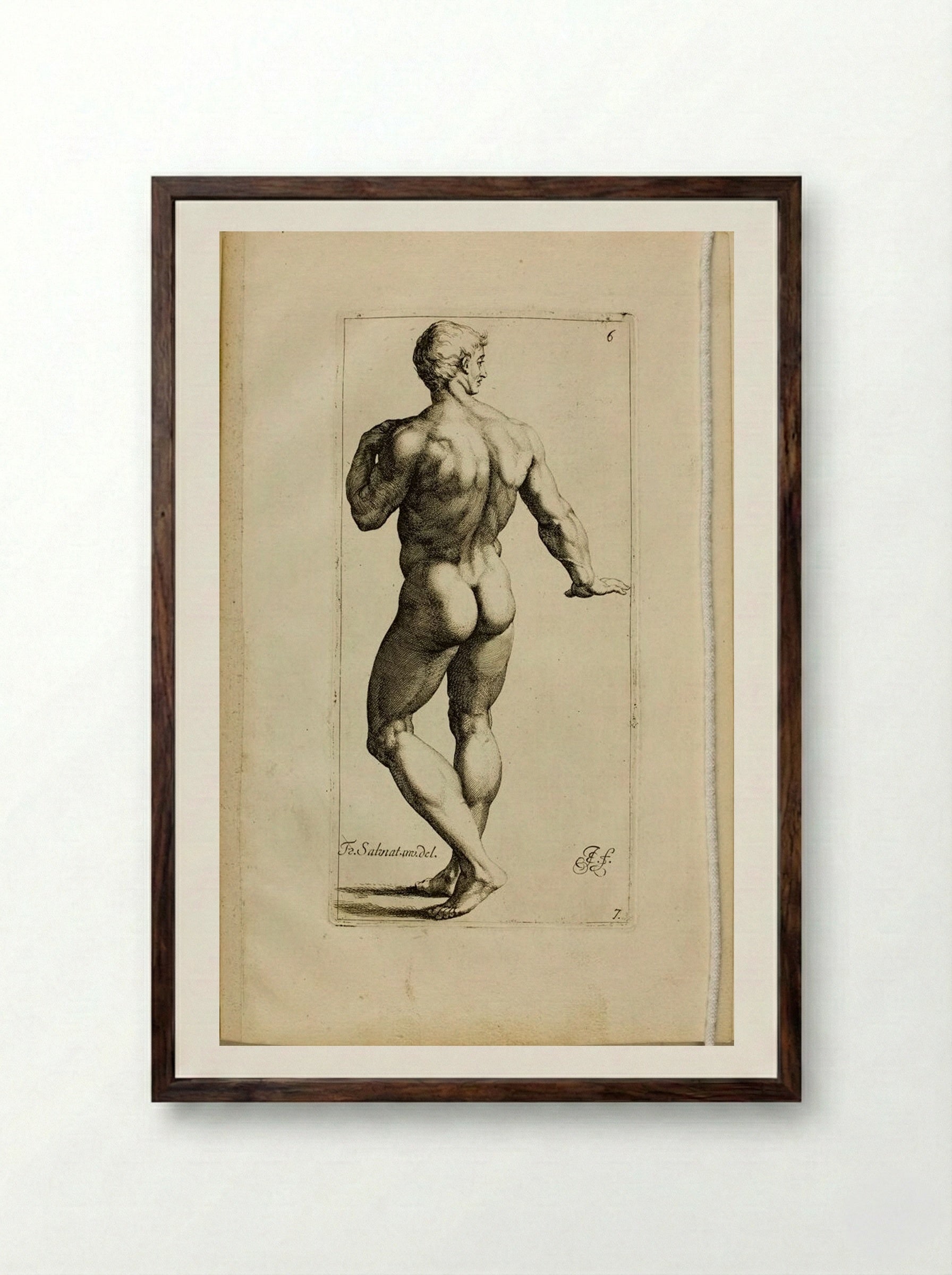 Plate 6: Standing Male Nude, Seen from the Back - Jan de Bisschop - Framed Print Dark Wood