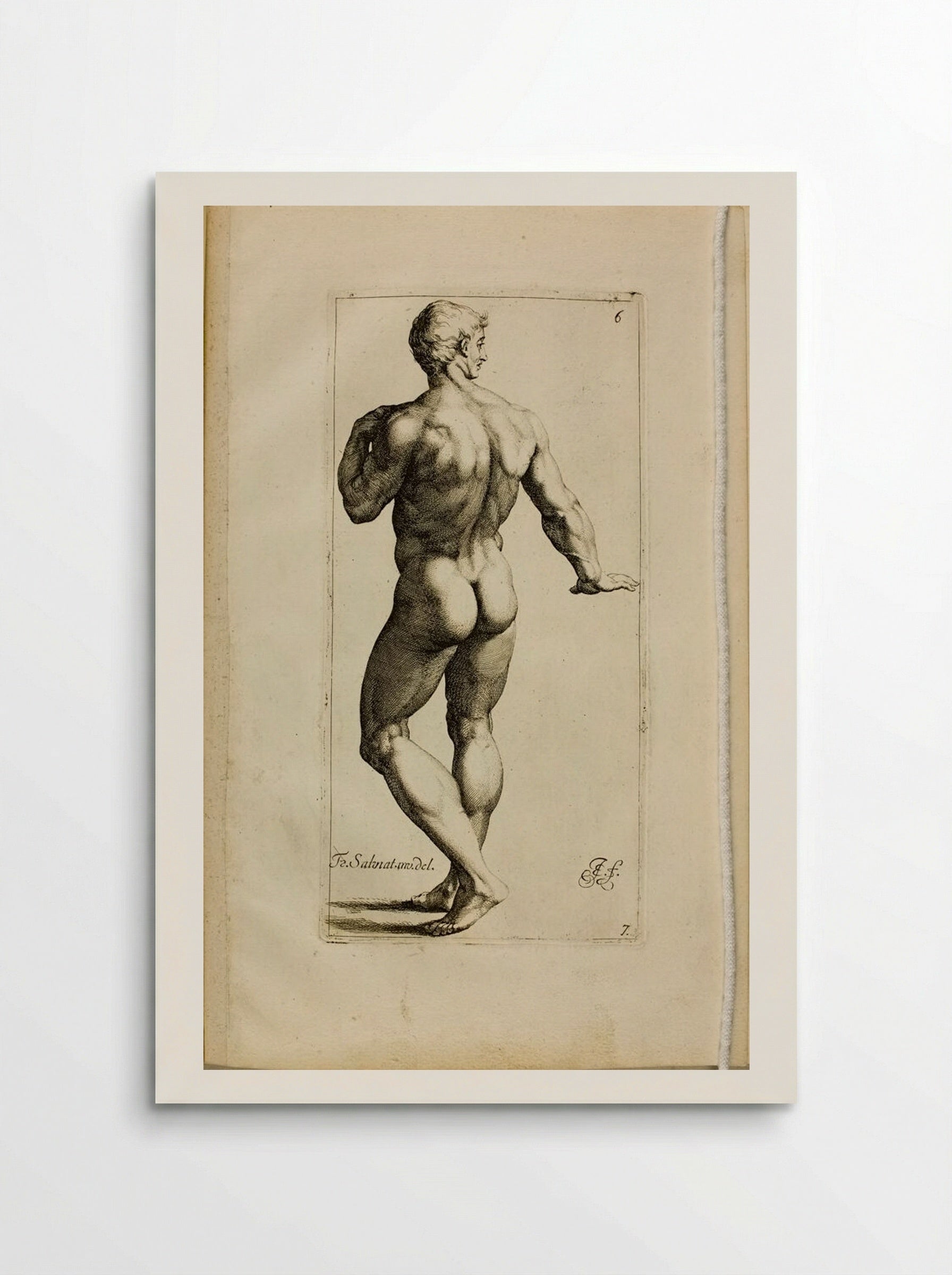 Plate 6: Standing Male Nude, Seen from the Back - Jan de Bisschop - Poster