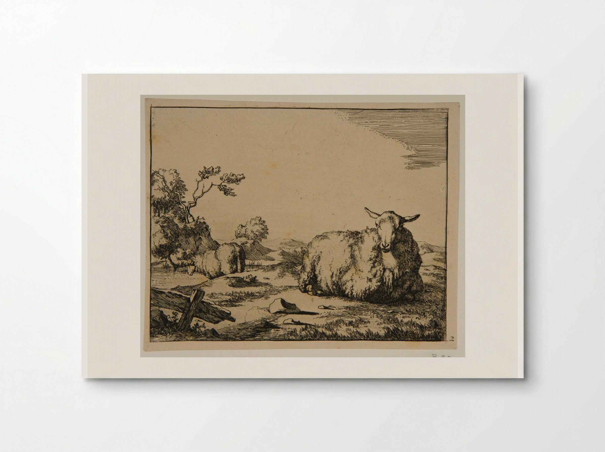 Plate I (Sheep in a Field) - Marcus de Bye - Poster