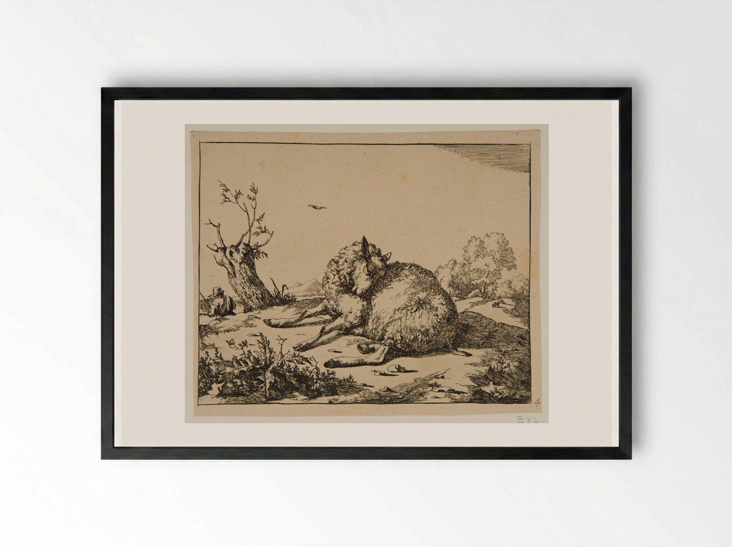 Plate II - Marcus de Bye - Framed Print Black