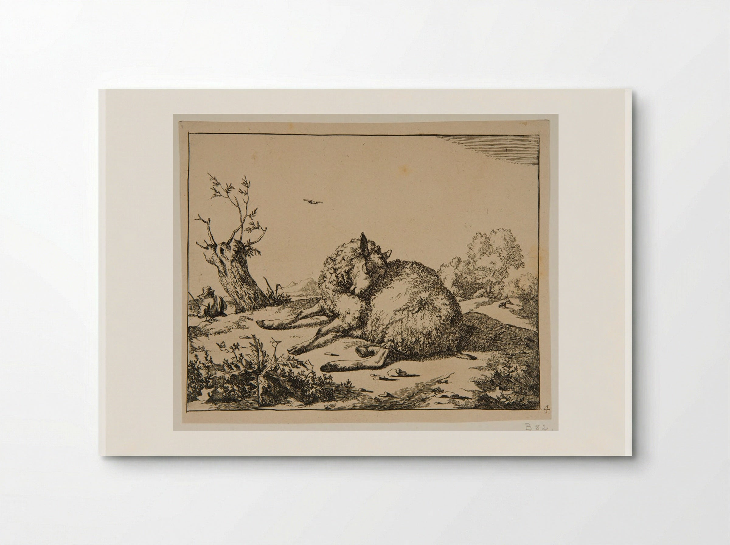 Plate II - Marcus de Bye - Poster