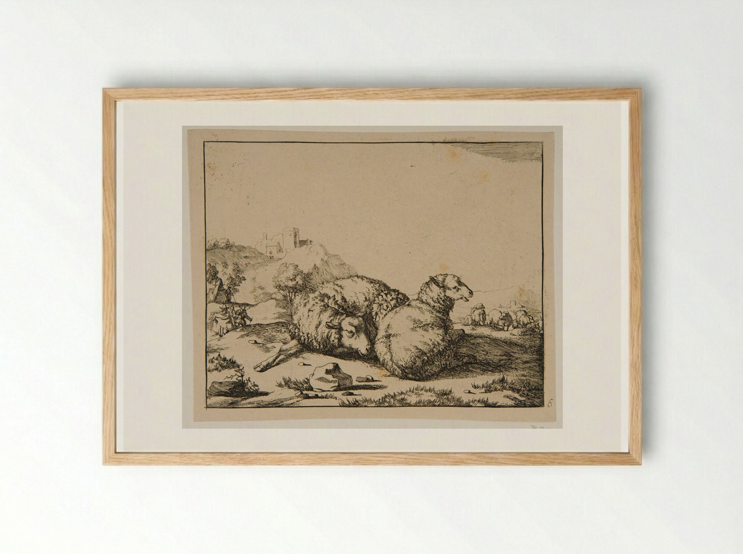 Plate IV (Study of Sheep) - Marcus de Bye - Framed Print Wood