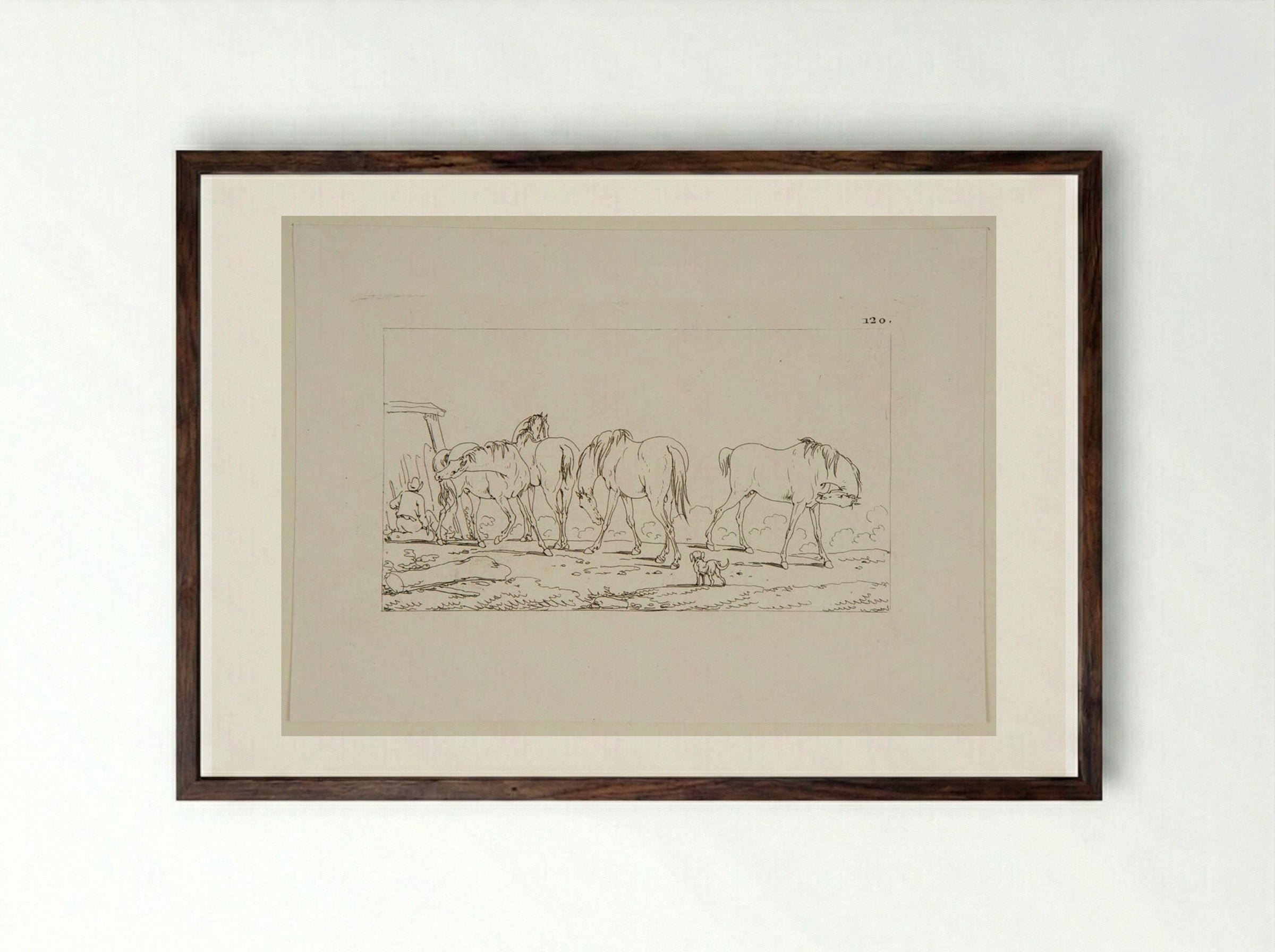 Plate LXV (Horses in a Field) - Jacques-Francois-Joseph Swebach - Framed Print Dark Wood