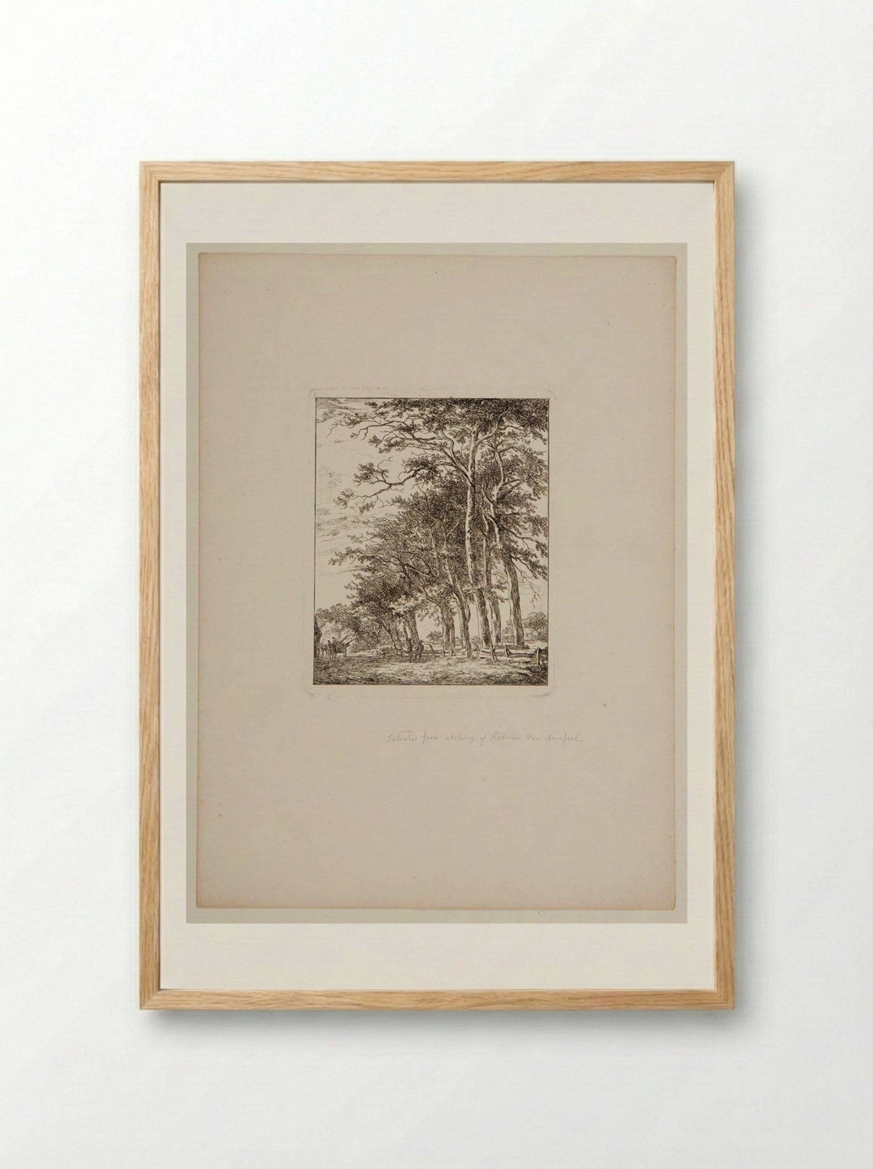 Plate V (Tree-Lined Path) - Hermanus van Brussel - Framed Print Wood