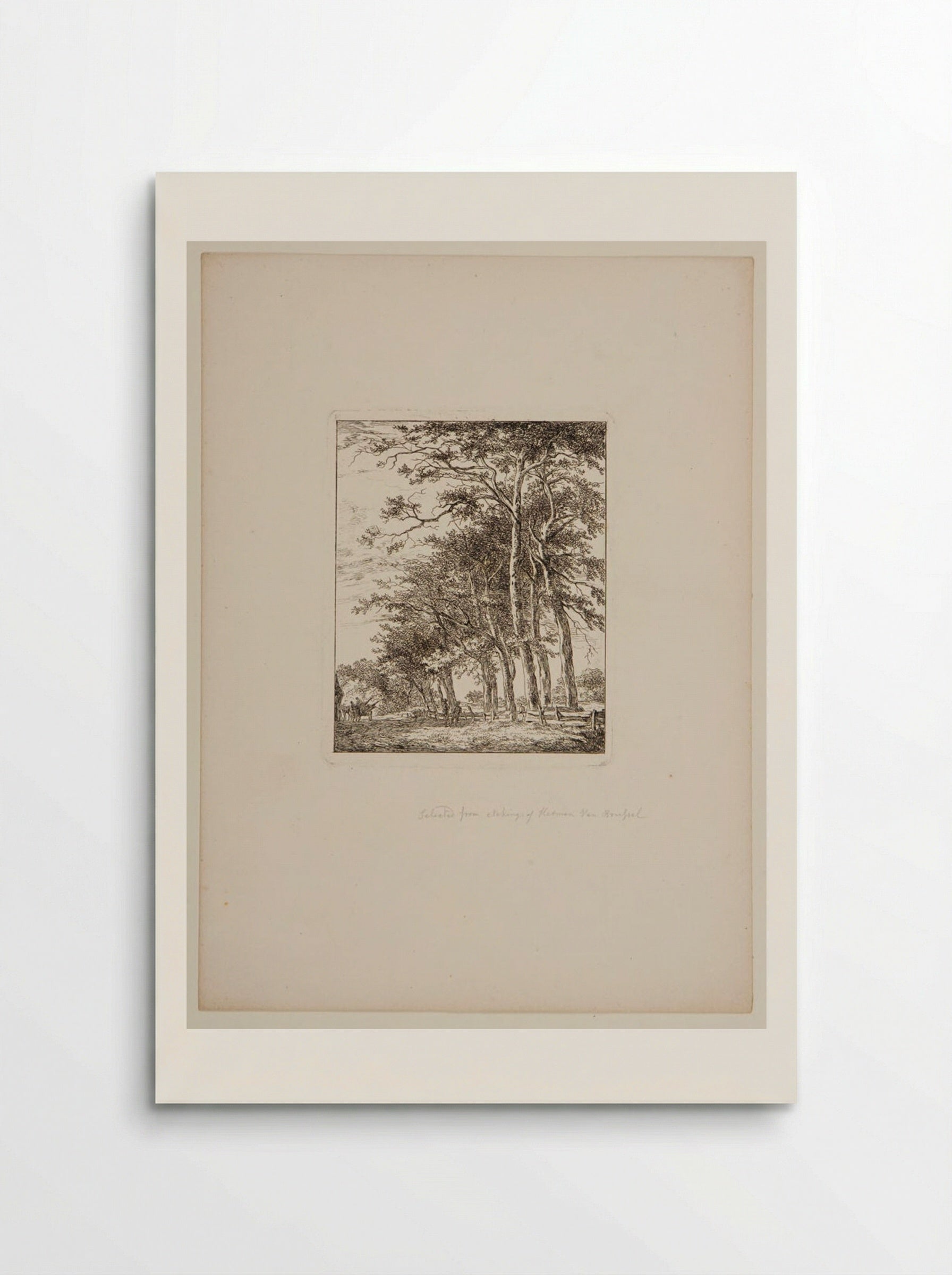 Plate V (Tree-Lined Path) - Hermanus van Brussel - Poster