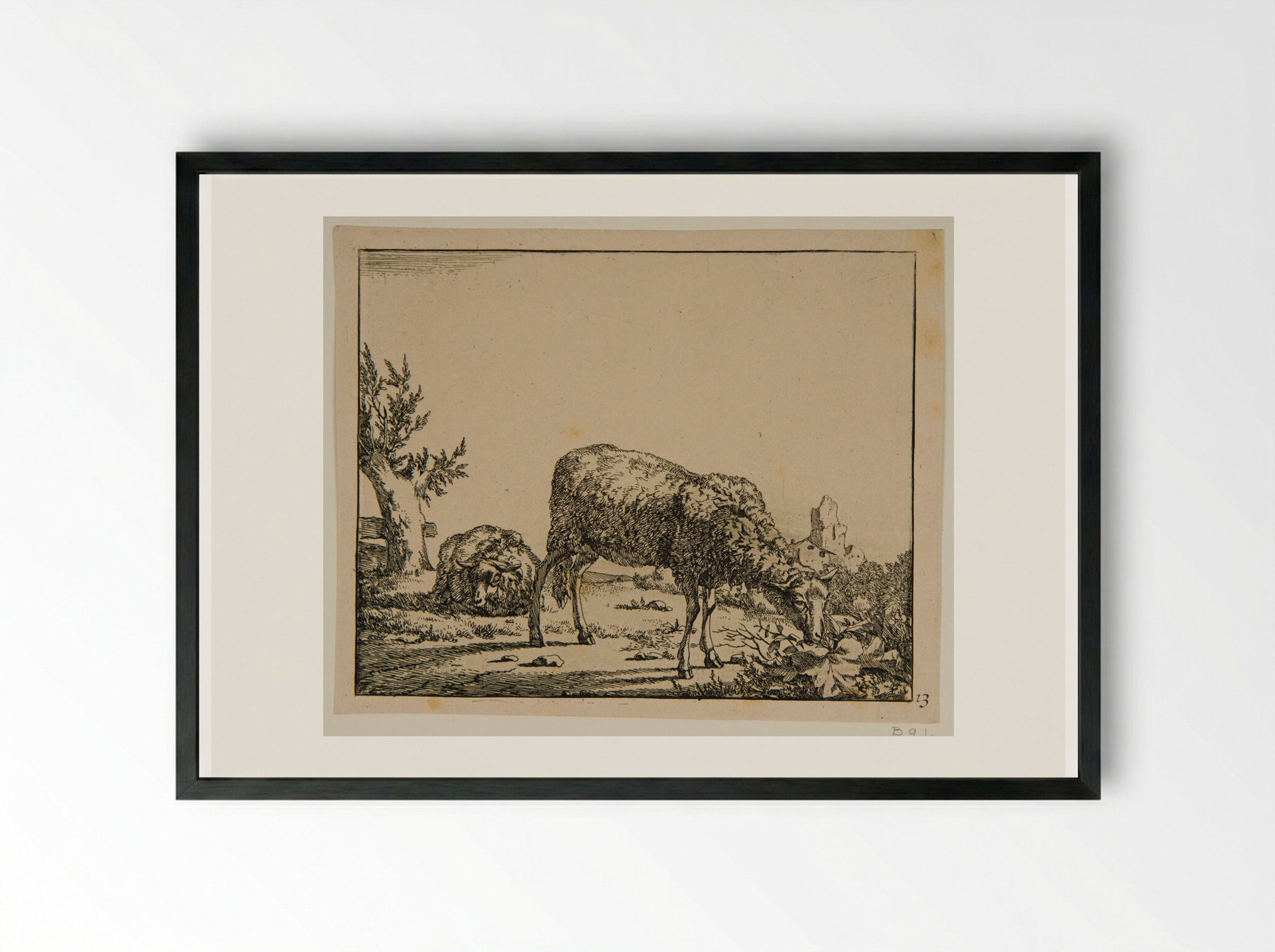 Plate VII (Sheep in a Field) - Marcus de Bye - Framed Print Black