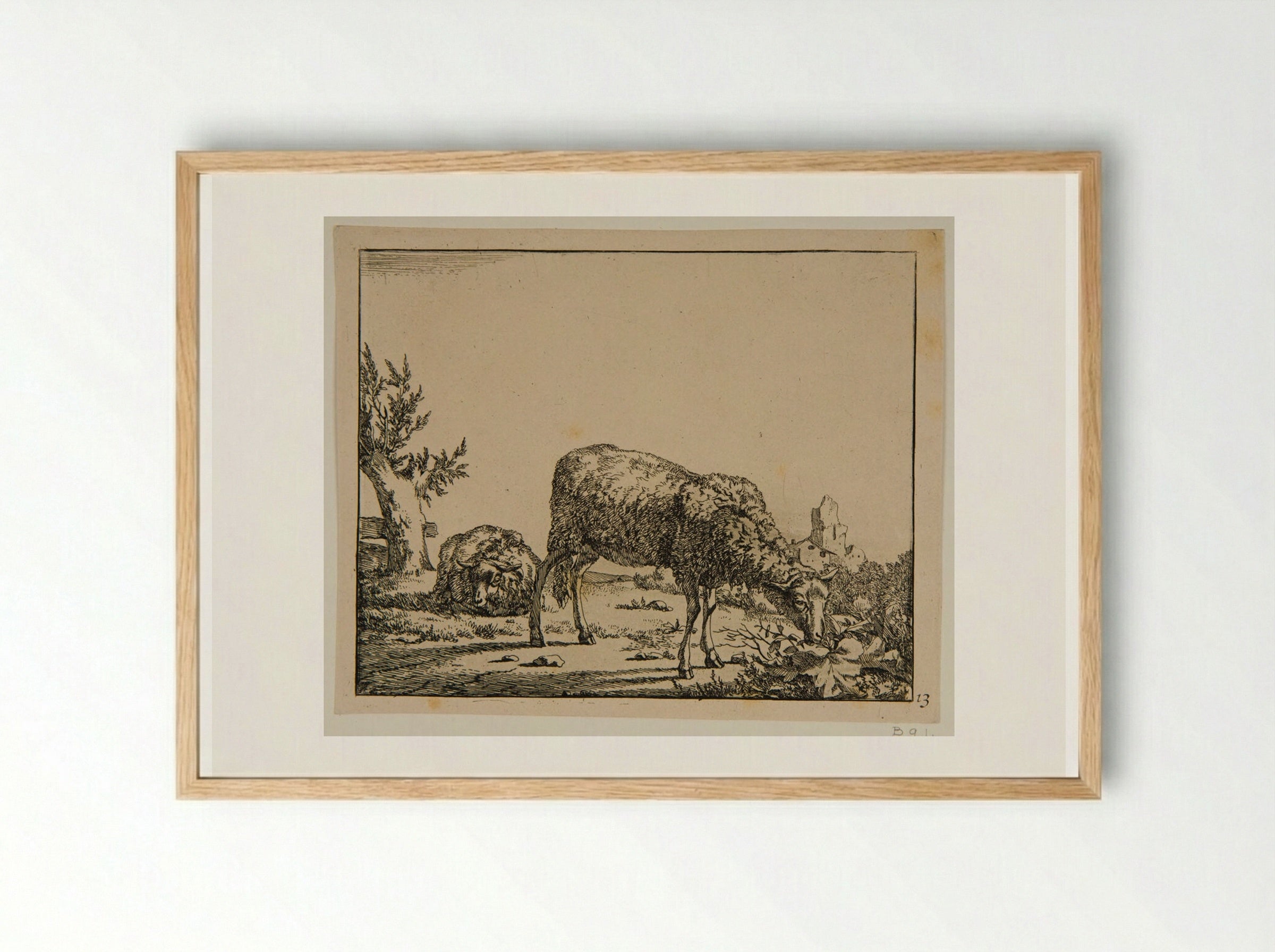 Plate VII (Sheep in a Field) - Marcus de Bye - Framed Print Wood