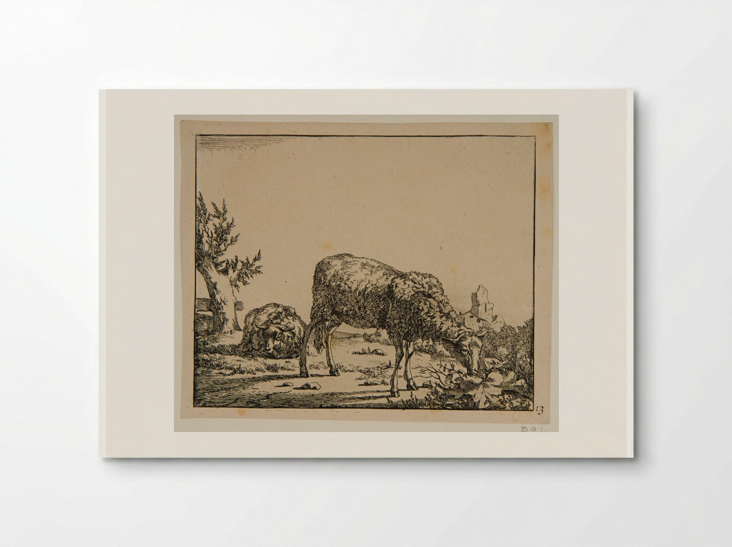 Plate VII (Sheep in a Field) - Marcus de Bye - Poster
