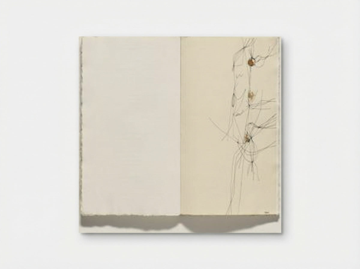 Plate from 17 variazioni su temi proposti per una pura ideologia fonetica - Alberto Burri - Poster