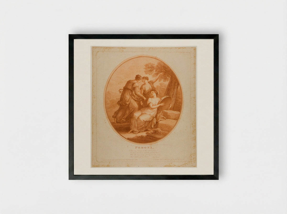 Pomona - Francesco Bartolozzi - Framed Print Black