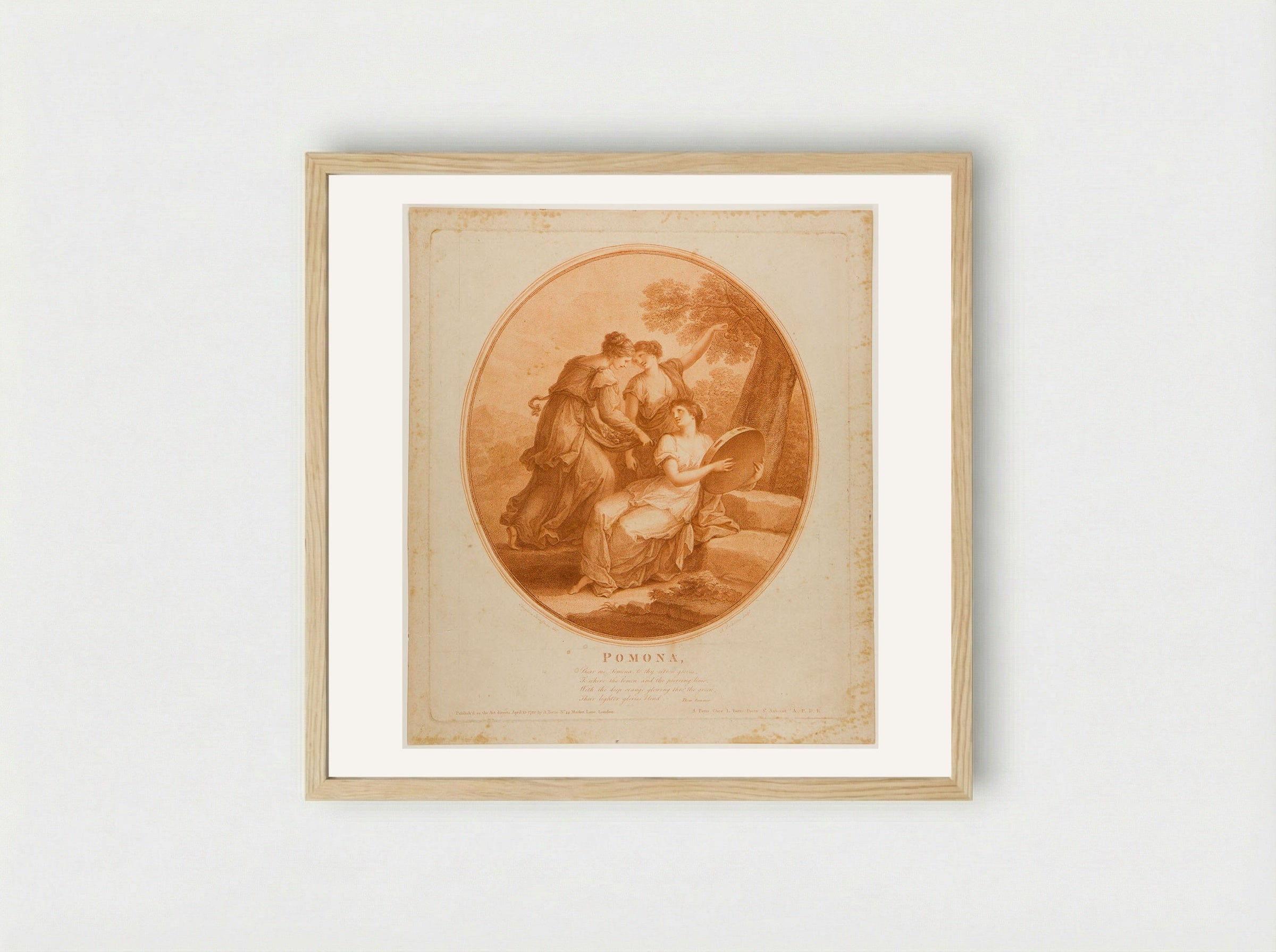 Pomona - Francesco Bartolozzi - Framed Print Wood