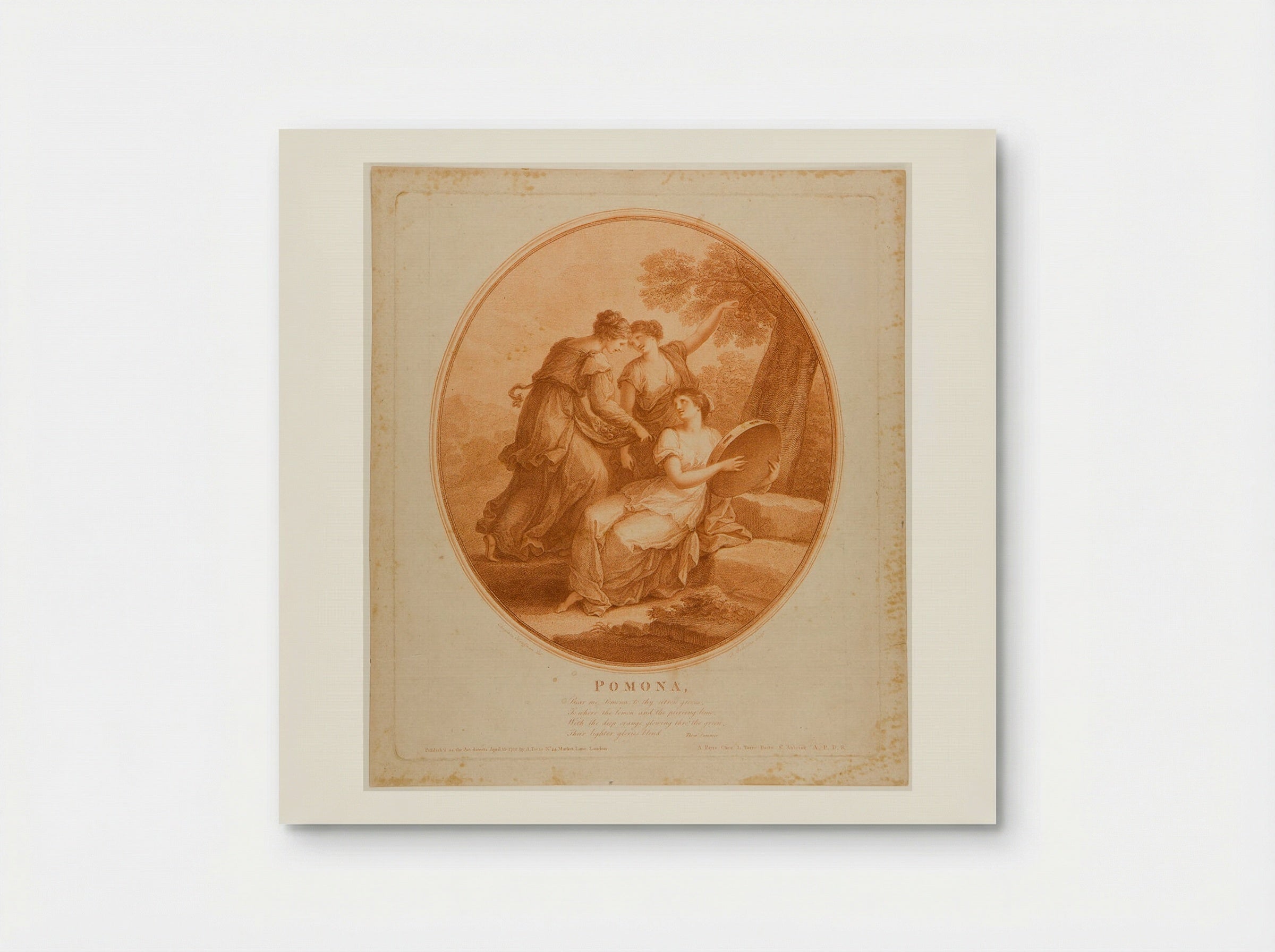 Pomona - Francesco Bartolozzi - Poster