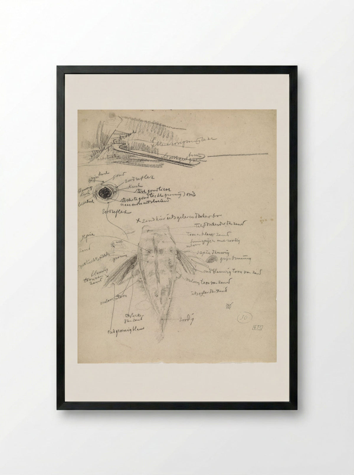 Poon op de rug gezien en studies van een oog - Gerrit Willem Dijsselhof - Framed Print Black