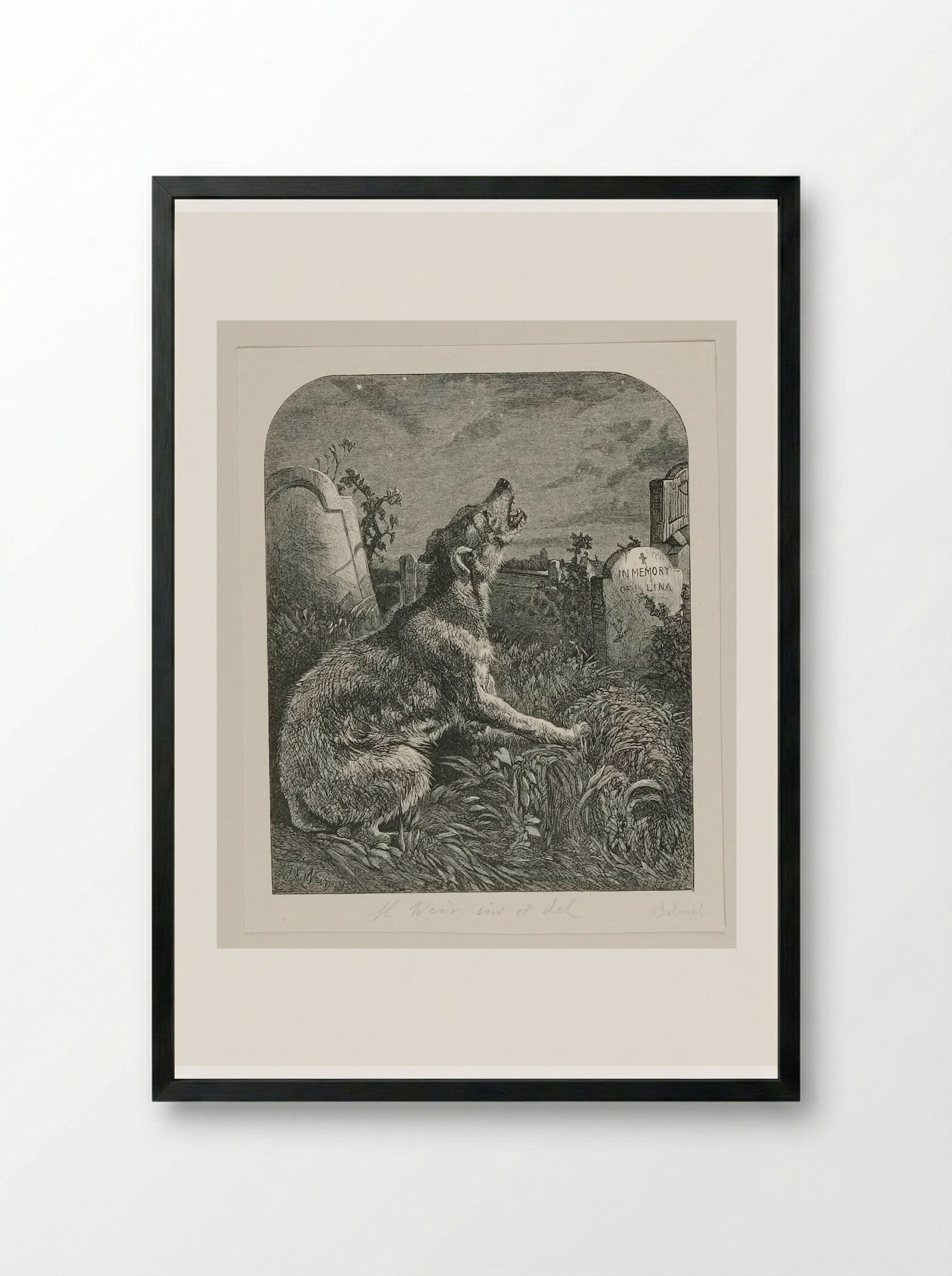 Poor Man's Grave - Harrison Weir - Framed Print Black