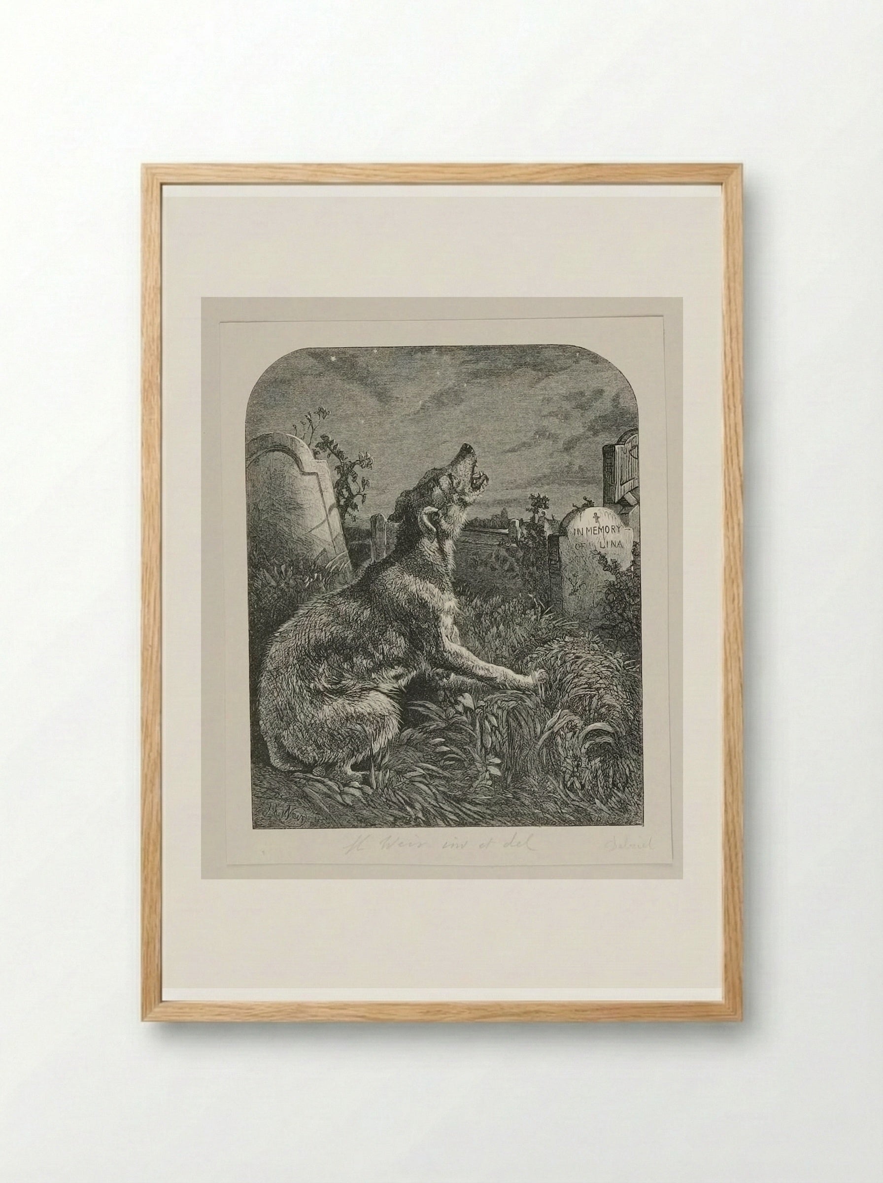 Poor Man's Grave - Harrison Weir - Framed Print Wood