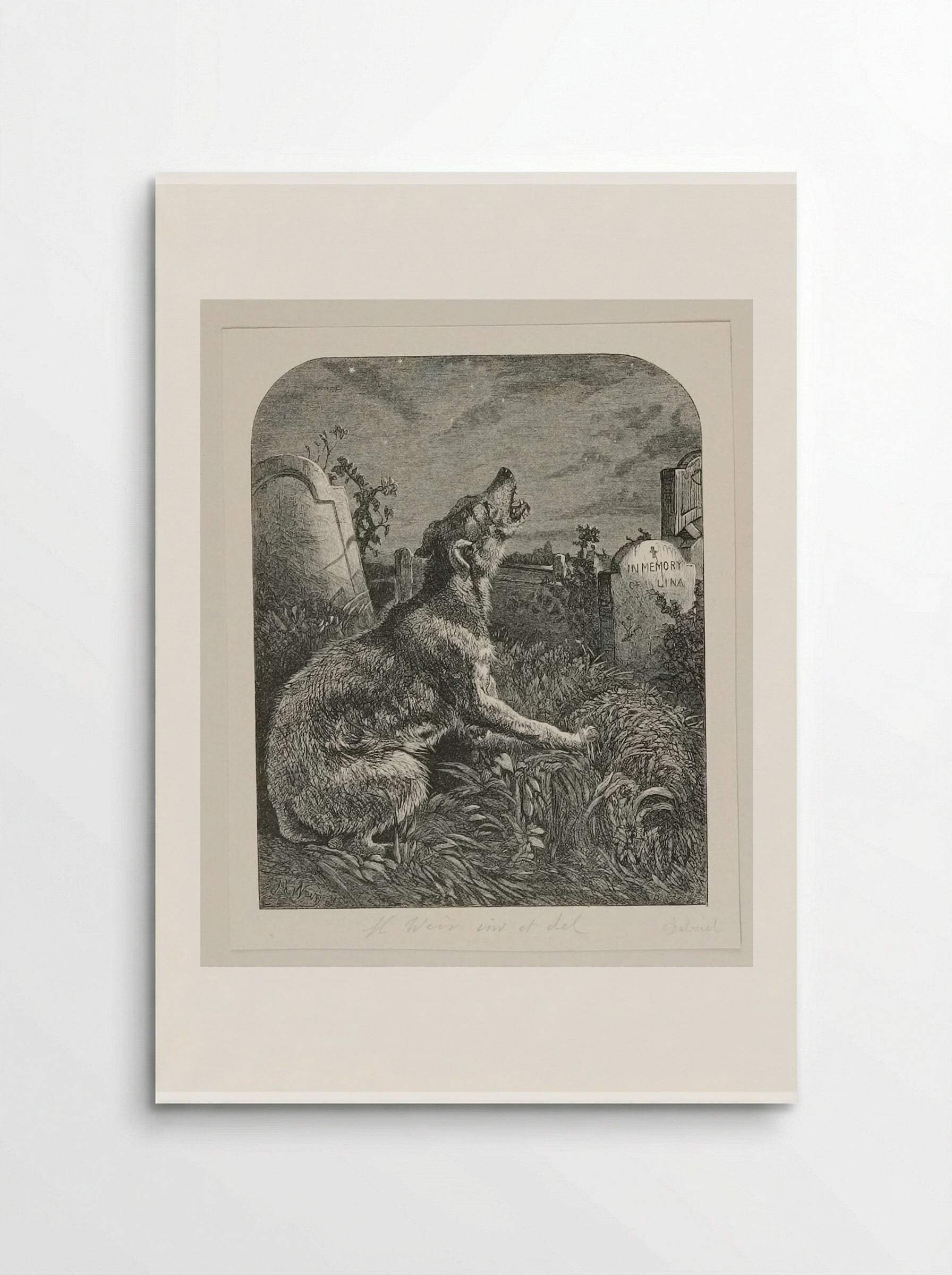 Poor Man's Grave - Harrison Weir - Poster
