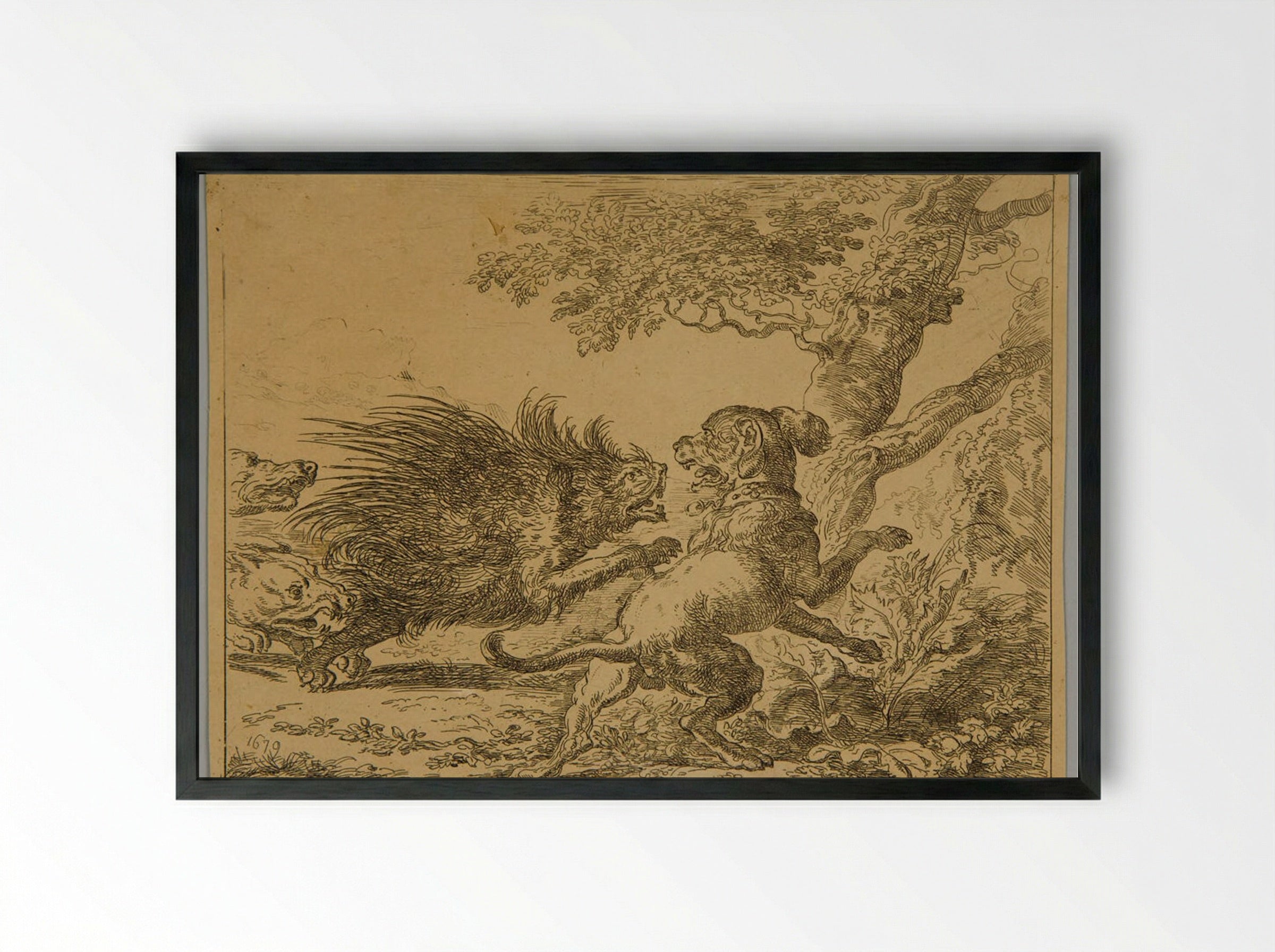 Porcupine and Dogs - Abraham Hondius - Framed Print Black