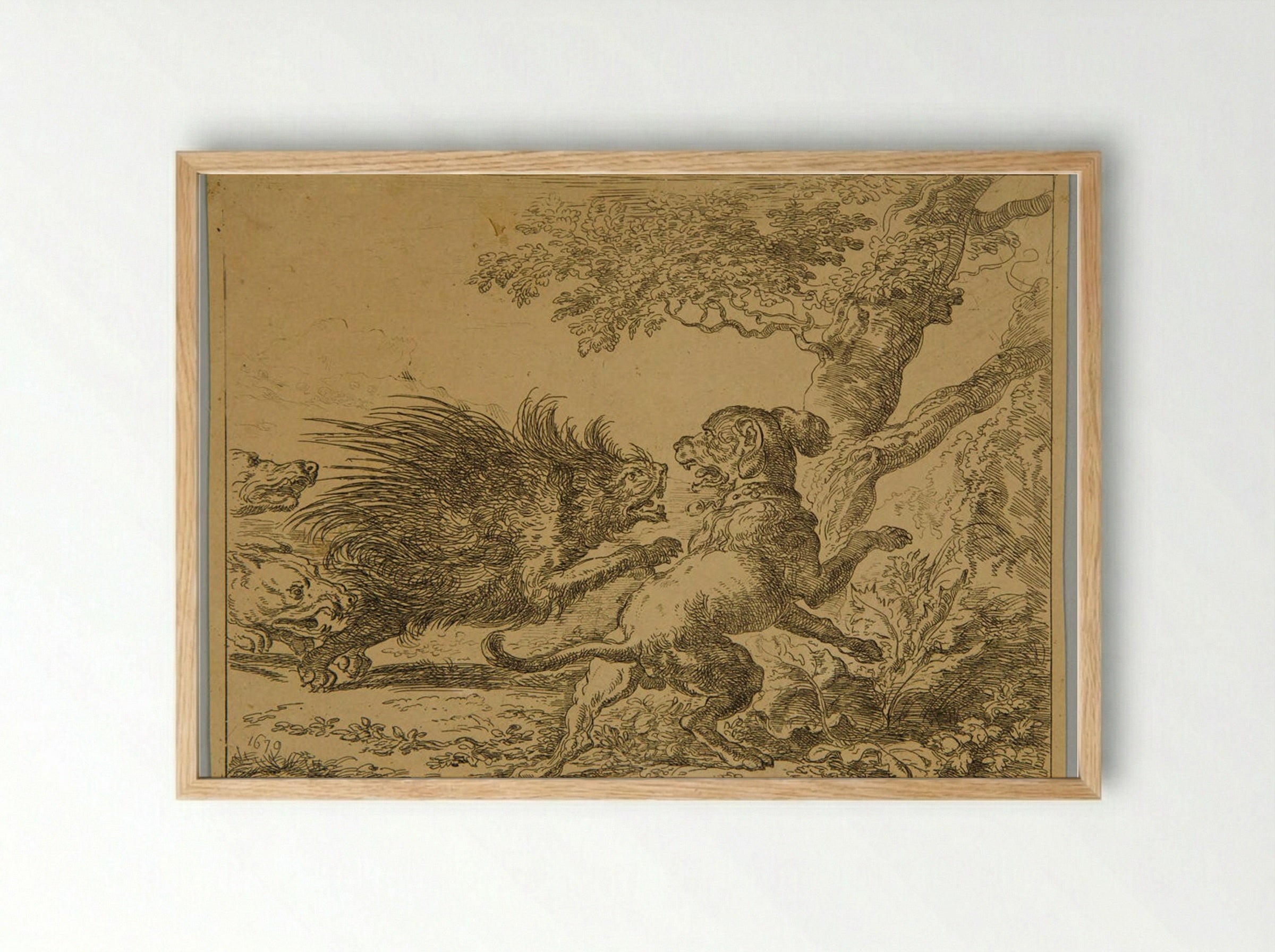 Porcupine and Dogs - Abraham Hondius - Framed Print Wood
