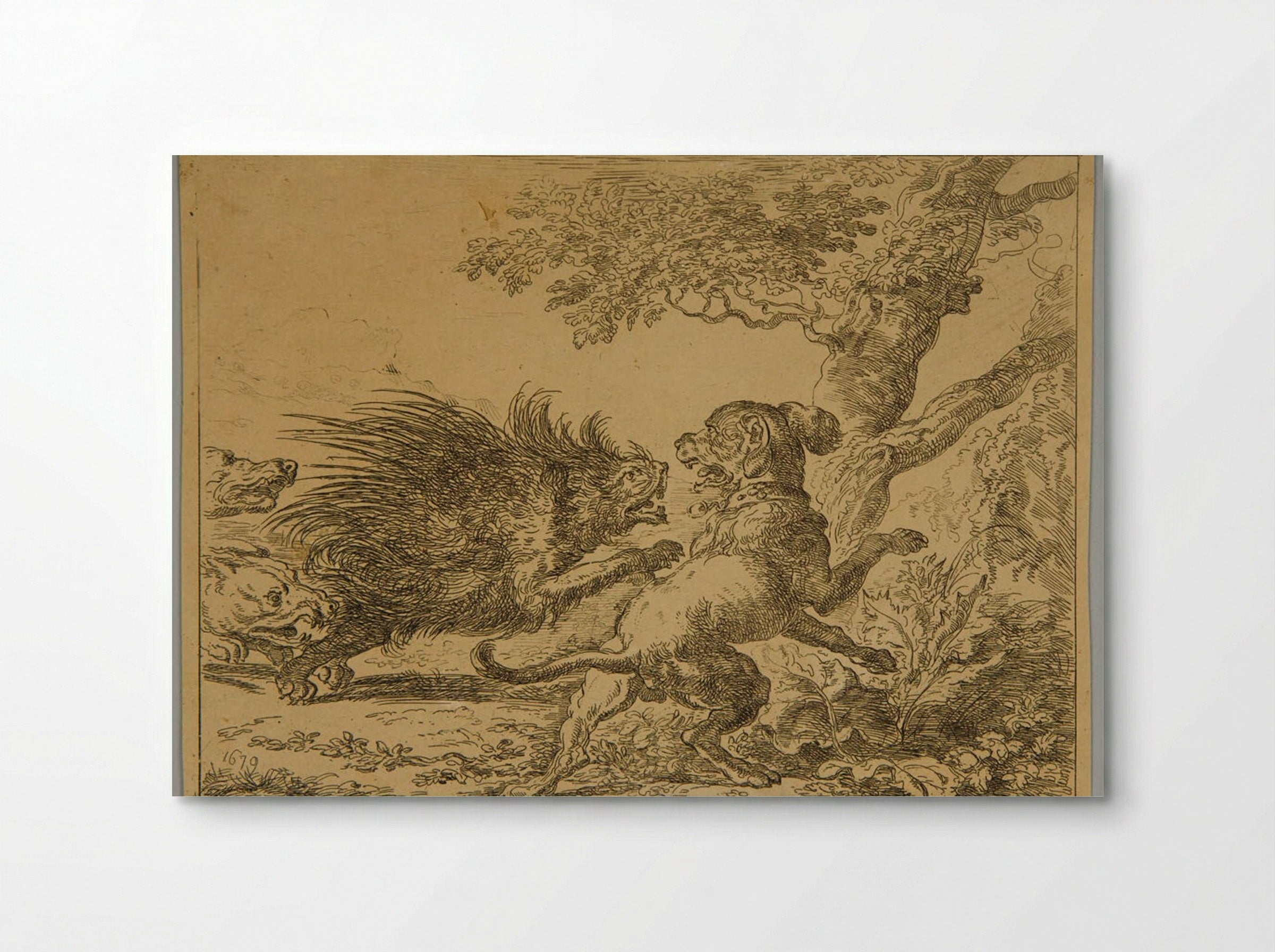 Porcupine and Dogs - Abraham Hondius - Poster
