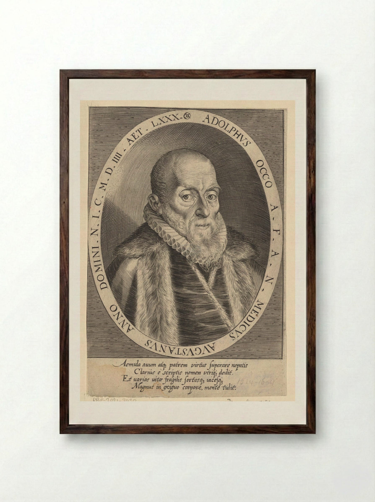 Portrait of Adolph Occo III - Dominicus Custos - Framed Print Dark Wood