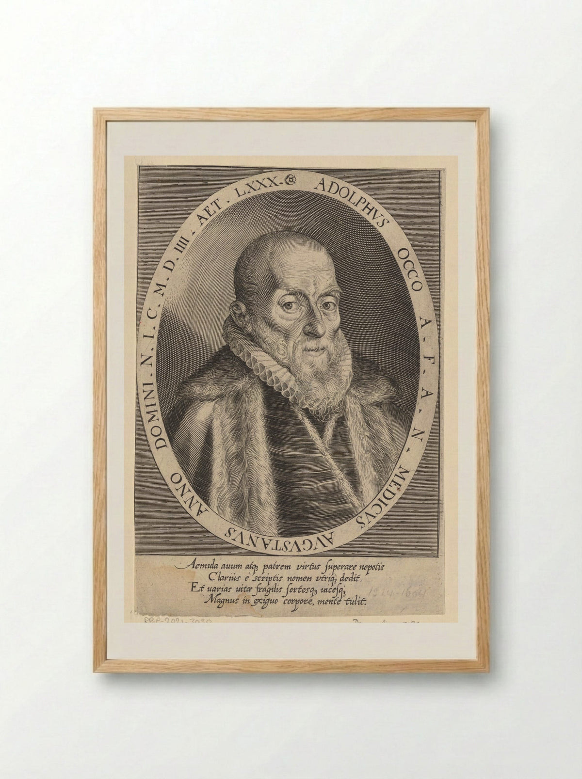 Portrait of Adolph Occo III - Dominicus Custos - Framed Print Wood