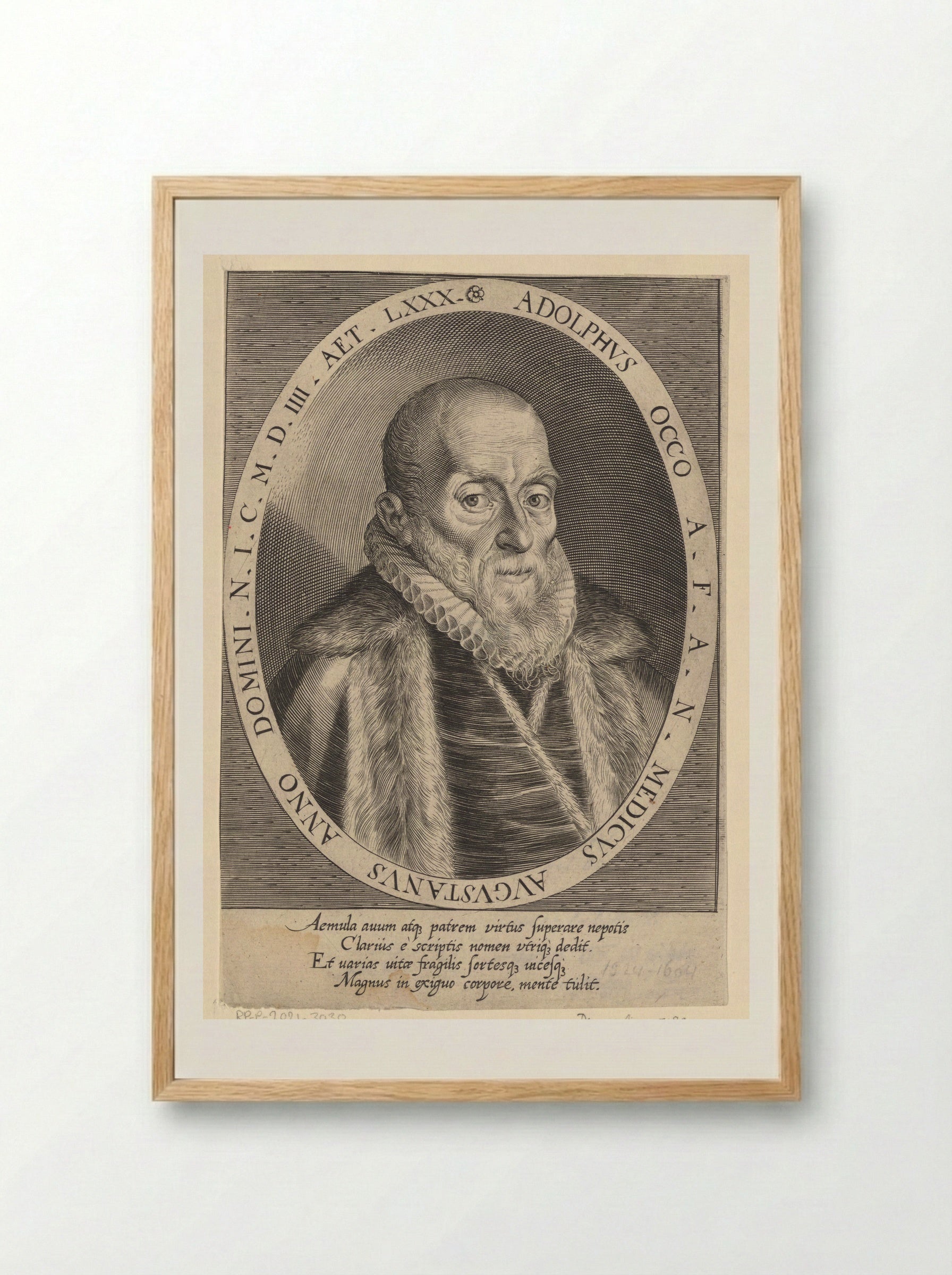 Portrait of Adolph Occo III - Dominicus Custos - Framed Print Wood