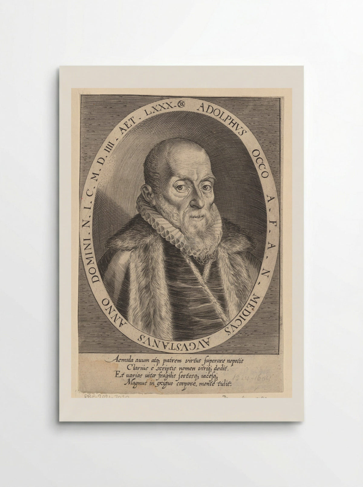 Portrait of Adolph Occo III - Dominicus Custos - Poster