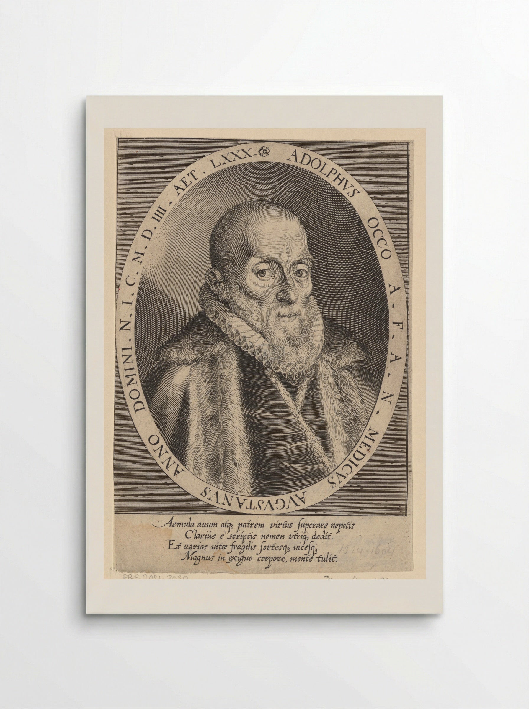Portrait of Adolph Occo III - Dominicus Custos - Poster