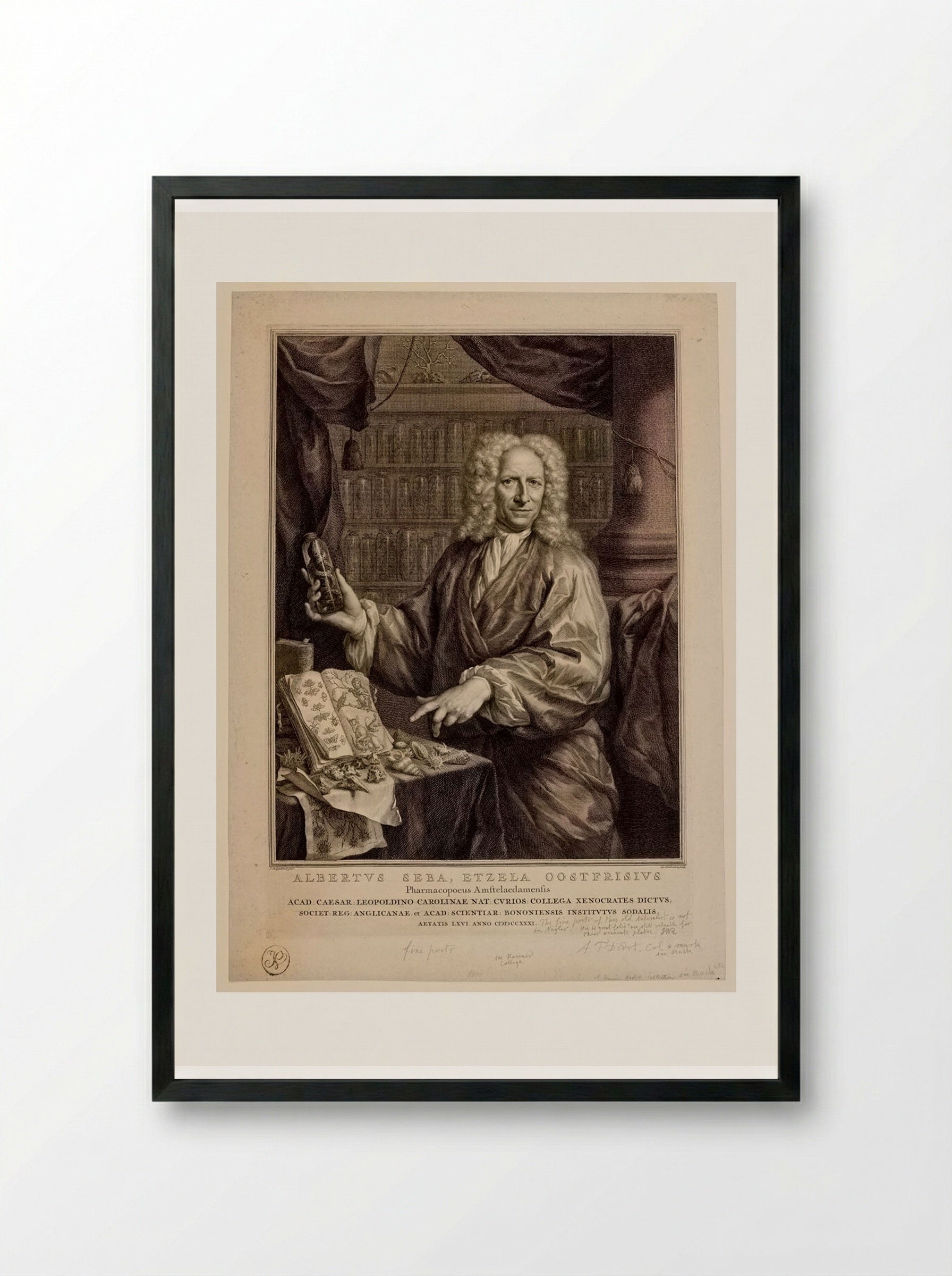Portrait of Albertus Seba - Jacobus Houbraken - Framed Print Black