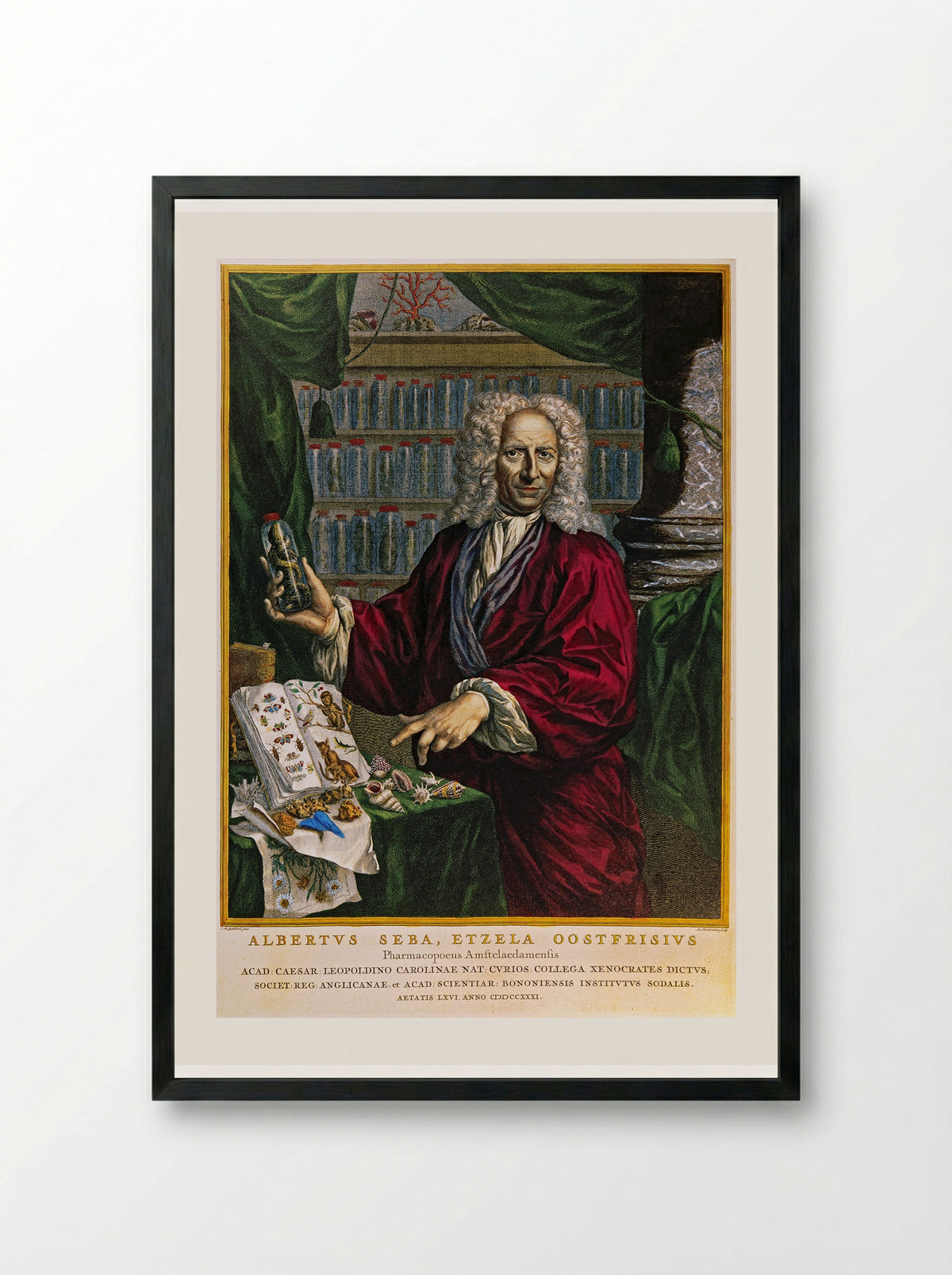 Portrait of Albertus Seba - Jacobus Houbraken - Framed Print Black