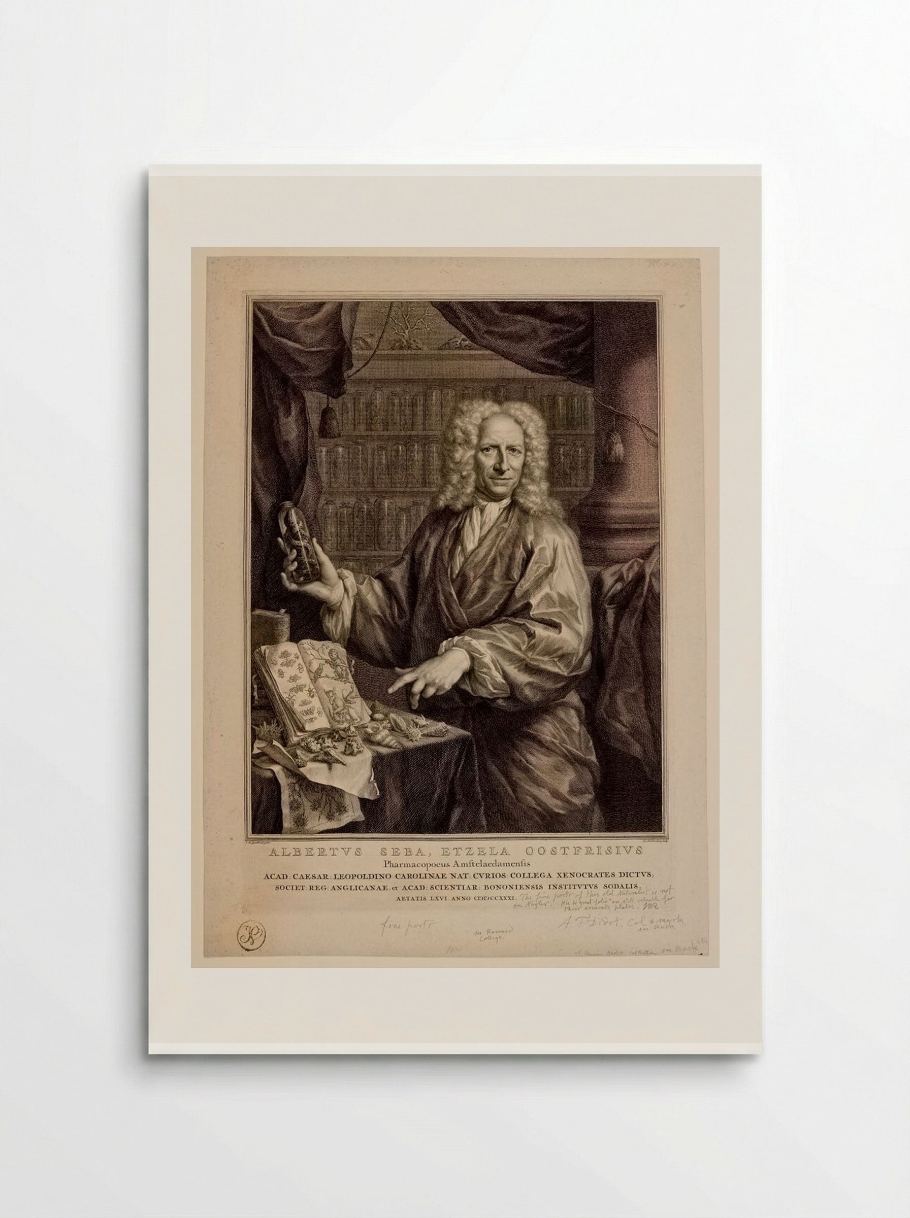 Portrait of Albertus Seba - Jacobus Houbraken - Poster