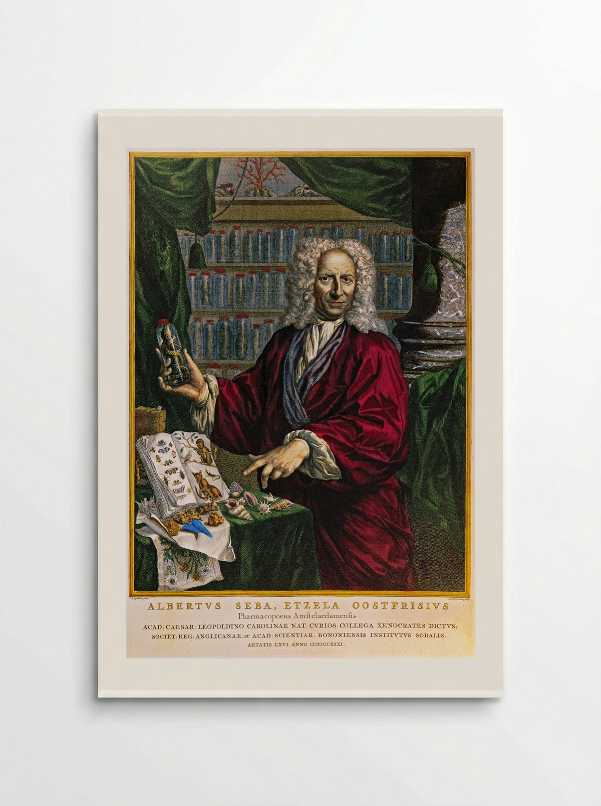 Portrait of Albertus Seba - Jacobus Houbraken - Poster