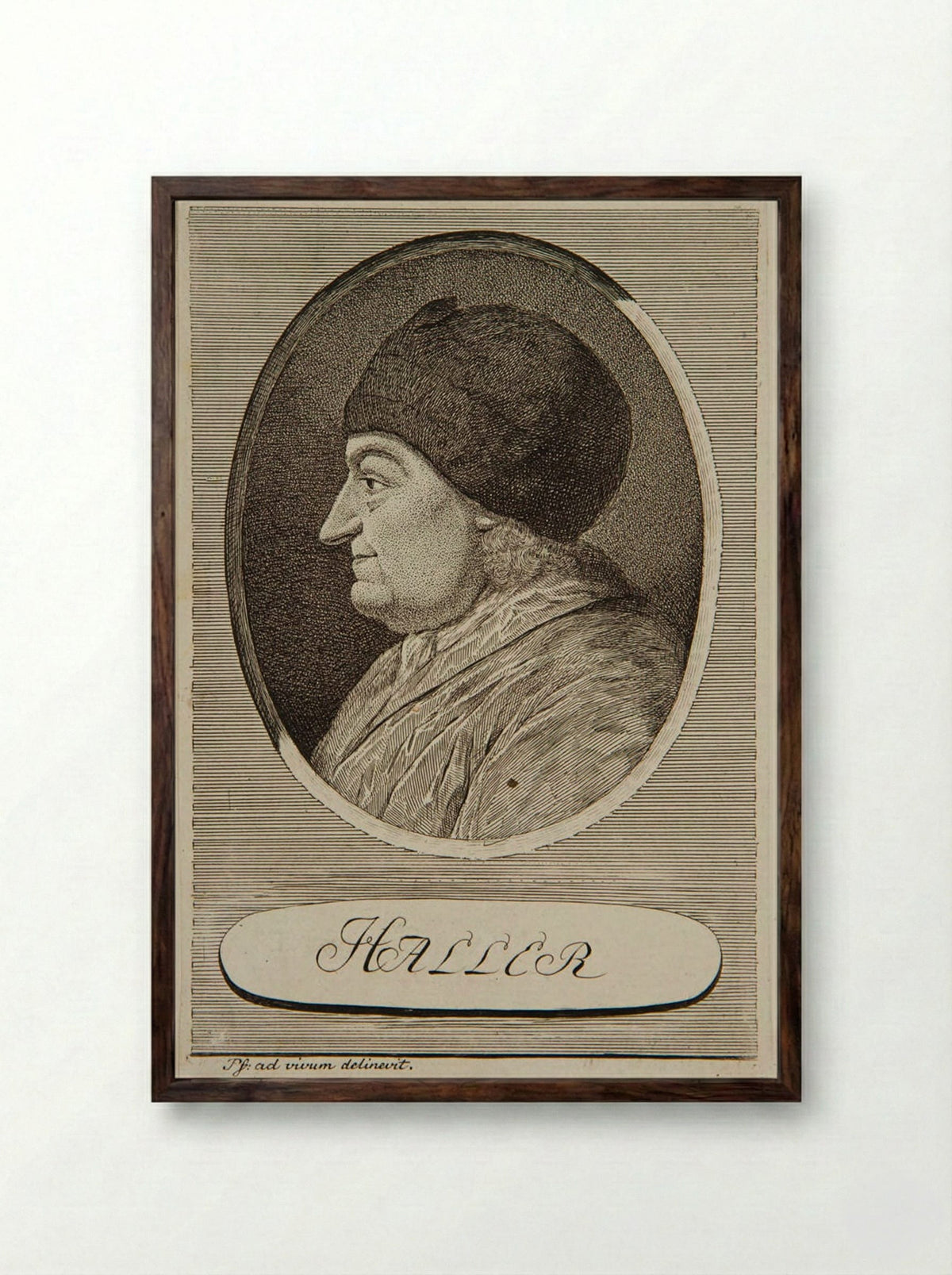 Portrait of Albrecht von Haller - Carl Herman Pfeiffer - Framed Print Dark Wood