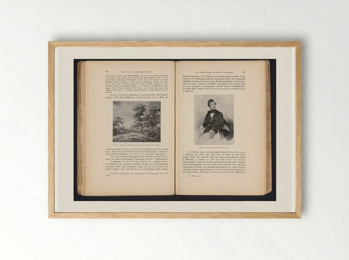 Portrait of Franz Hanfstaengl - Franz Hanfstaengl - Framed Print Wood