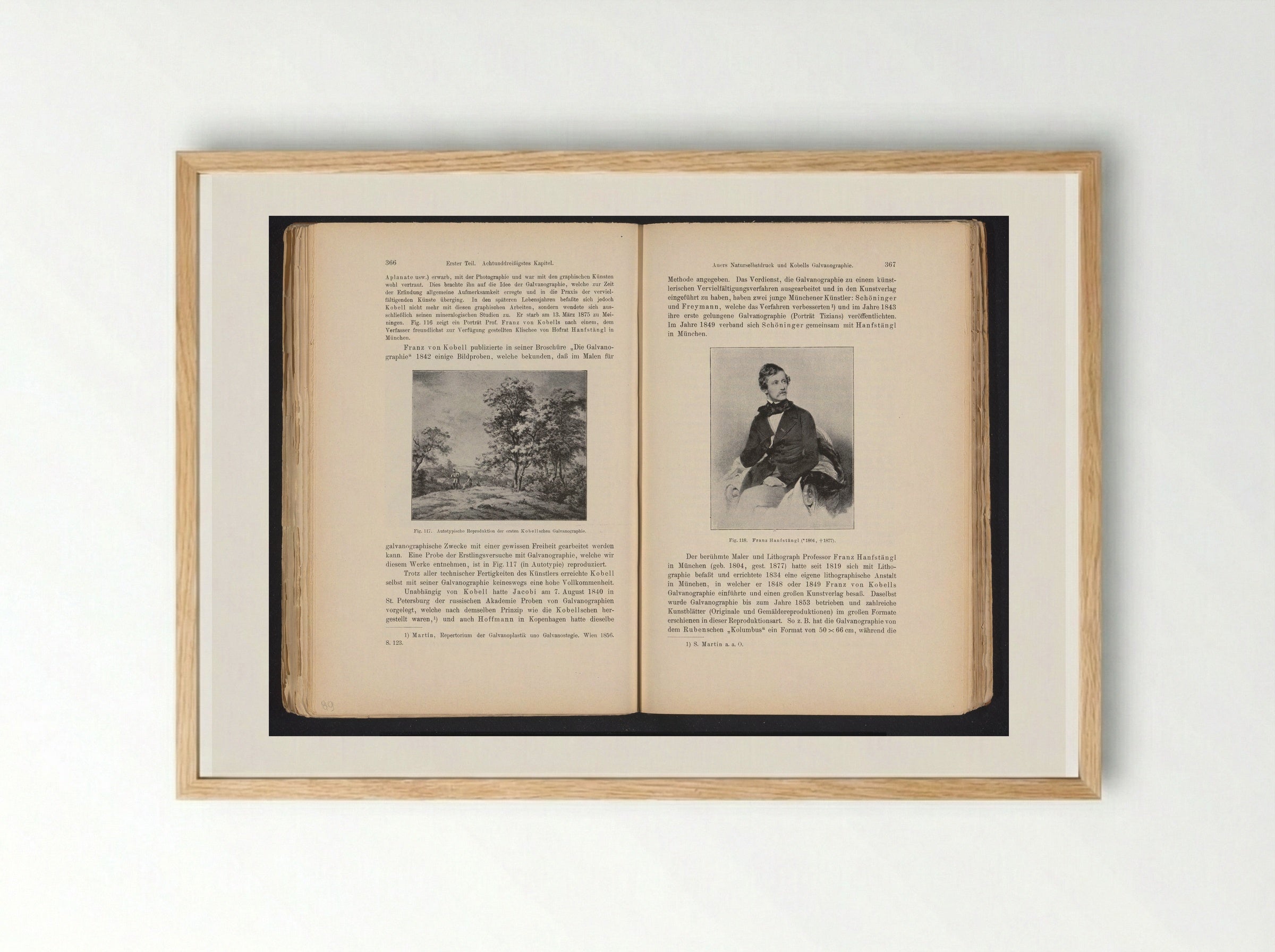 Portrait of Franz Hanfstaengl - Franz Hanfstaengl - Framed Print Wood