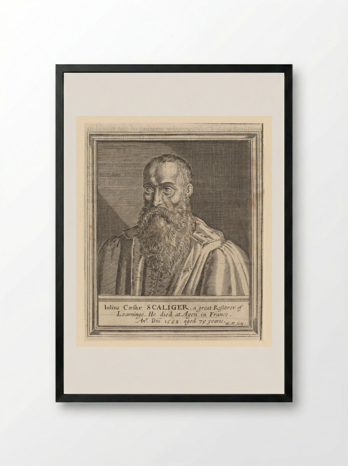 Portrait of Julius Caesar Scaliger - William Marshall - Framed Print Black