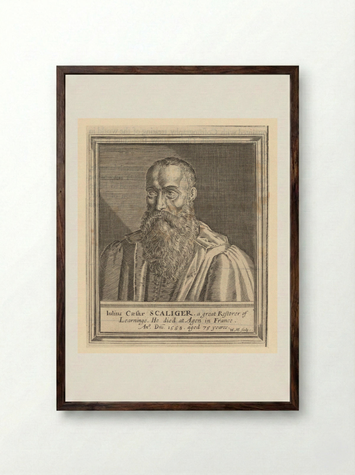 Portrait of Julius Caesar Scaliger - William Marshall - Framed Print Dark Wood