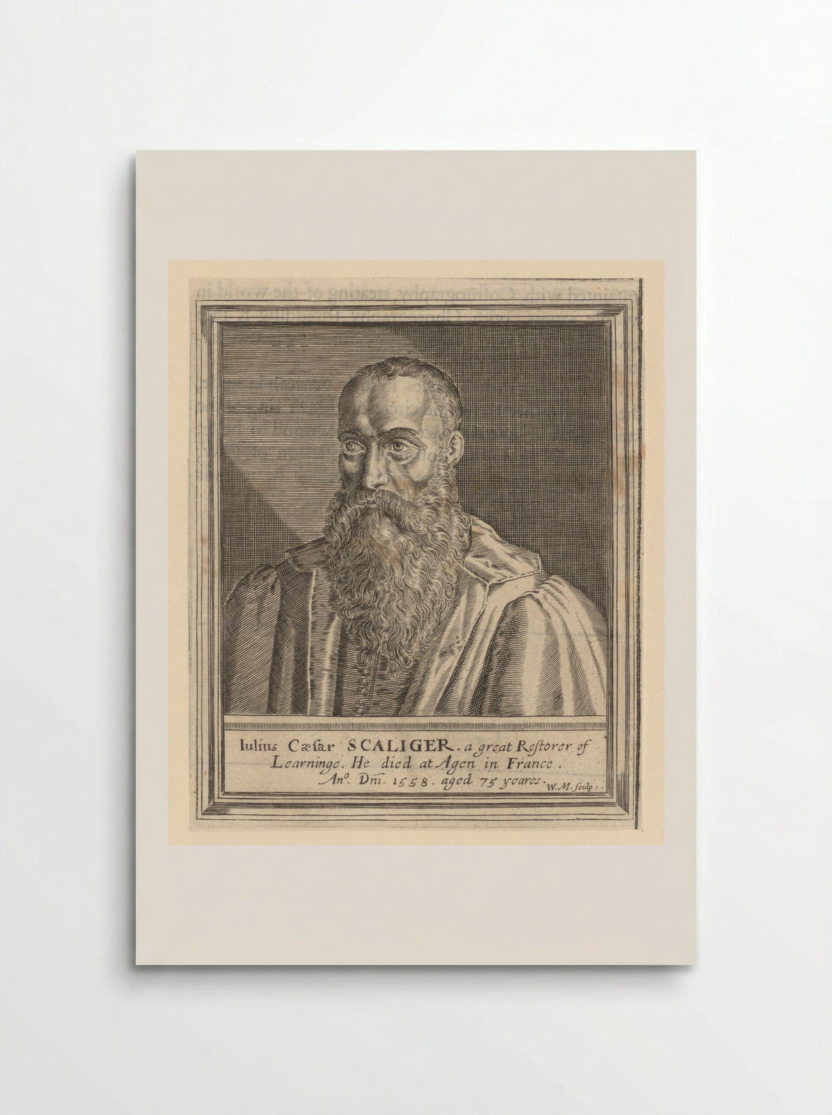 Portrait of Julius Caesar Scaliger - William Marshall - Poster