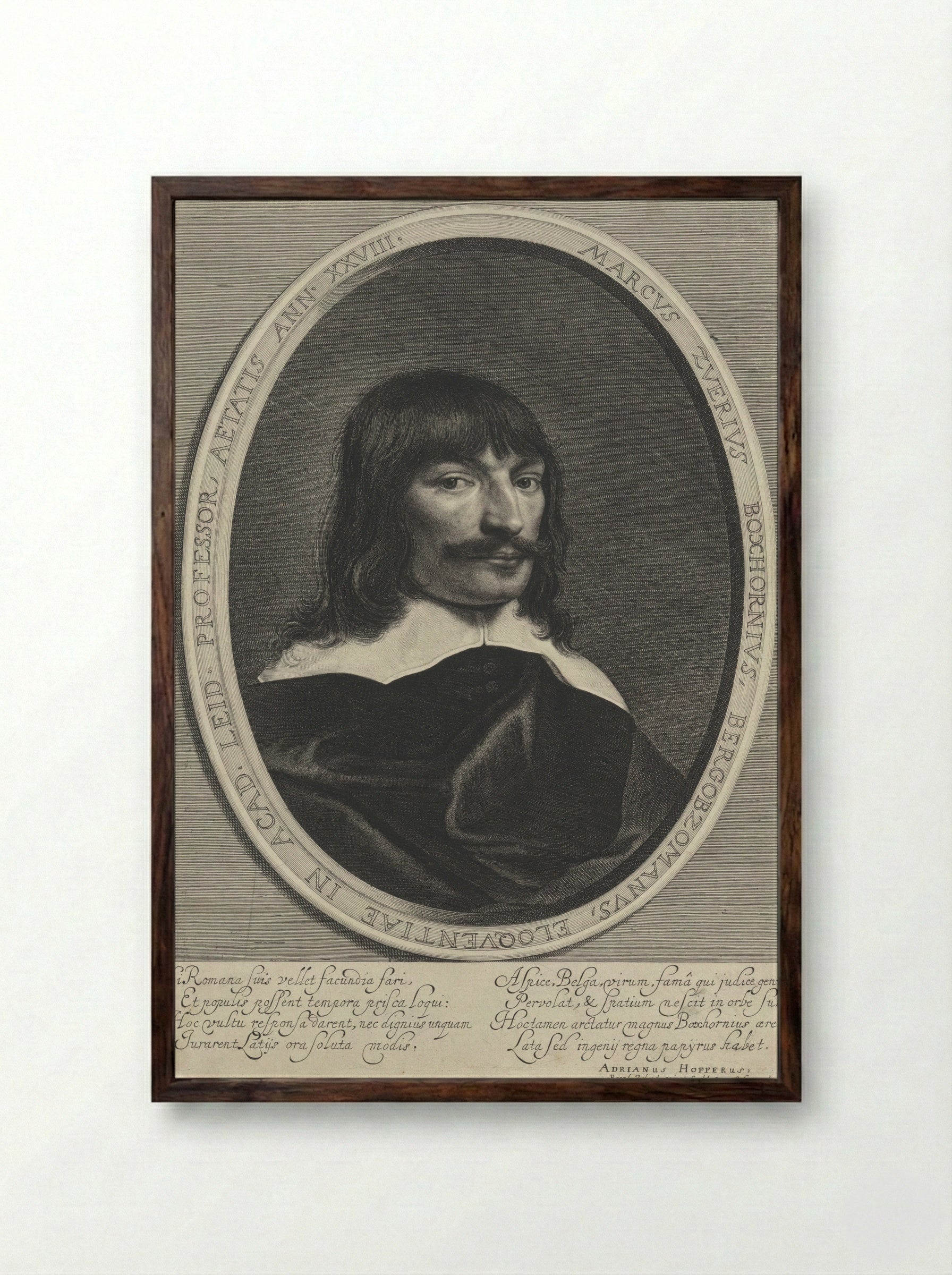 Portrait of Marcus Zuerius Boxhorn - Jonas Suyderhoef - Framed Print Dark Wood
