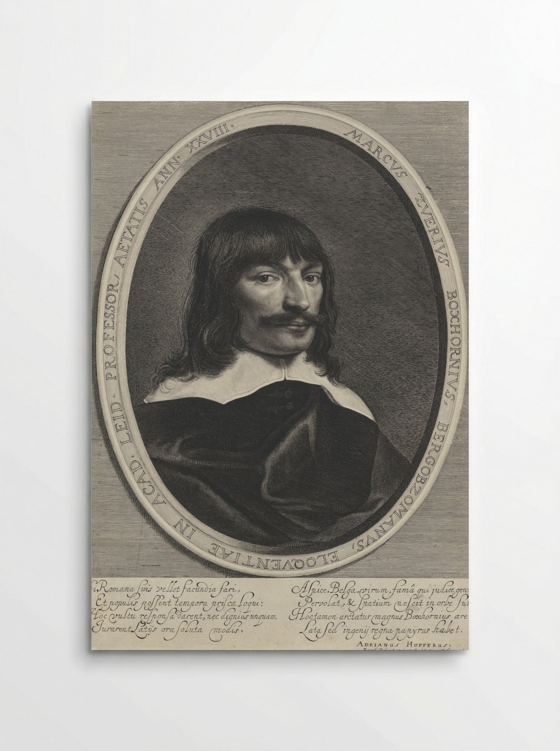 Portrait of Marcus Zuerius Boxhorn - Jonas Suyderhoef - Poster