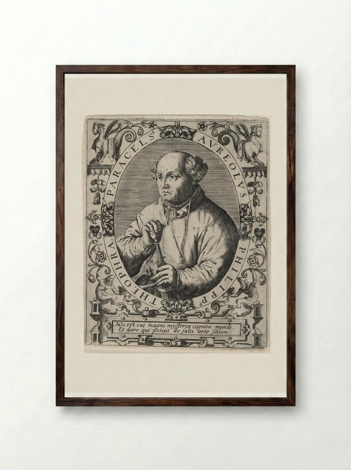 Portrait of Paracelsus - Theodor de Bry - Framed Print Dark Wood