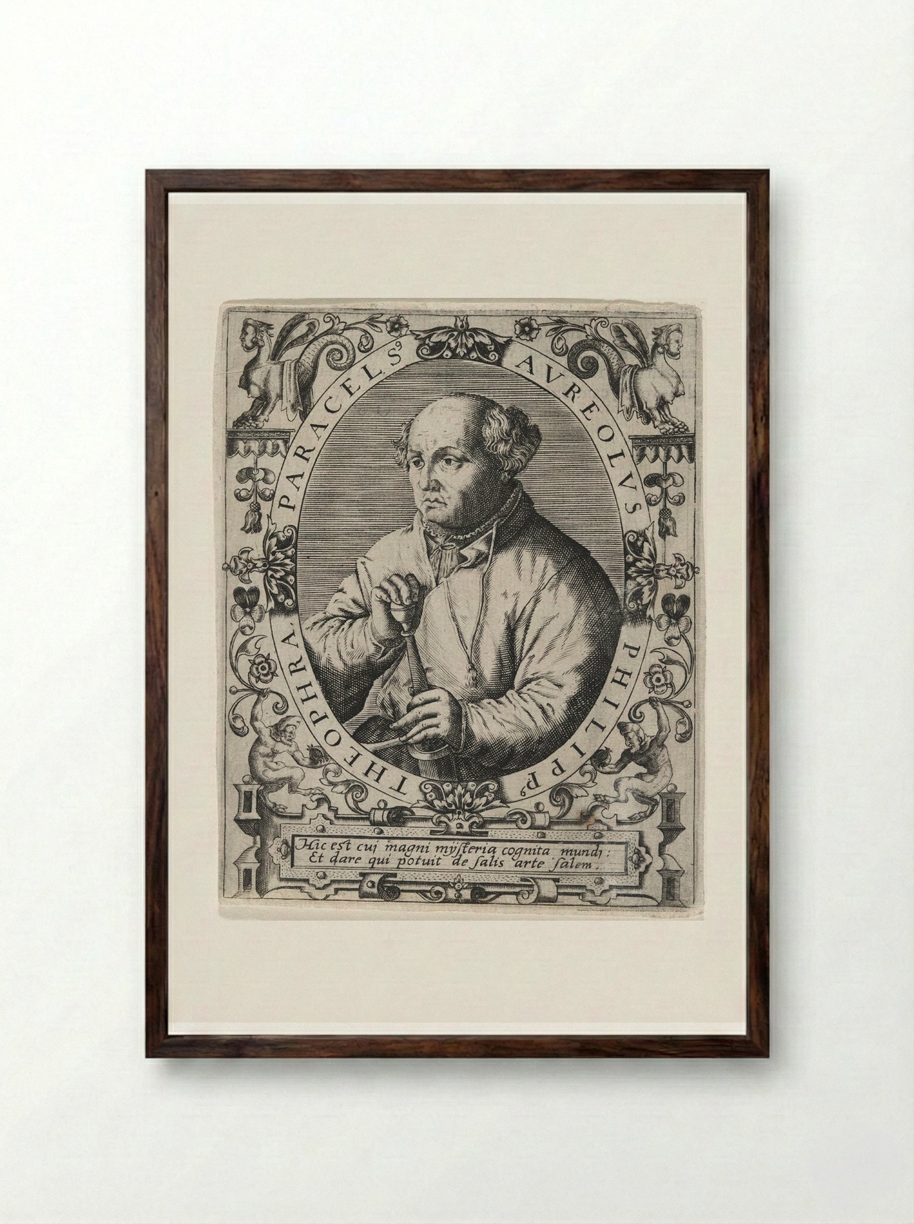 Portrait of Paracelsus - Theodor de Bry - Framed Print Dark Wood