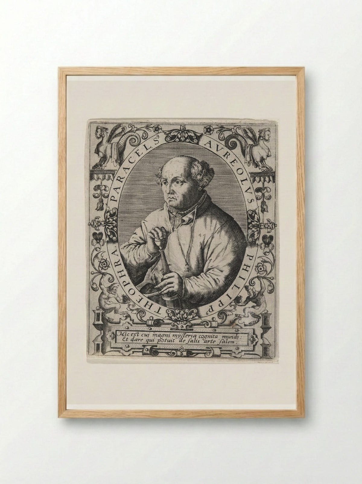 Portrait of Paracelsus - Theodor de Bry - Framed Print Wood