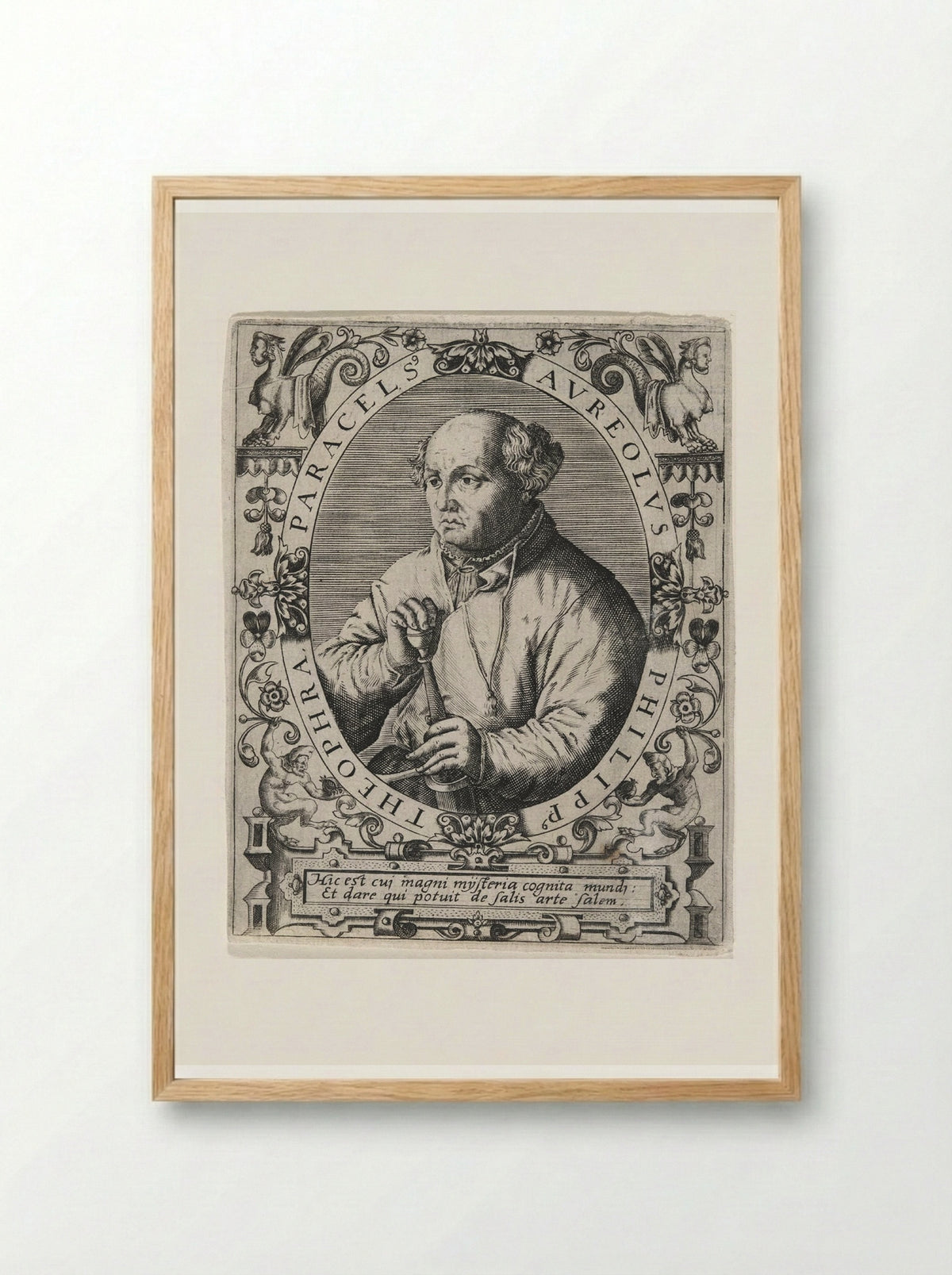 Portrait of Paracelsus - Theodor de Bry - Framed Print Wood