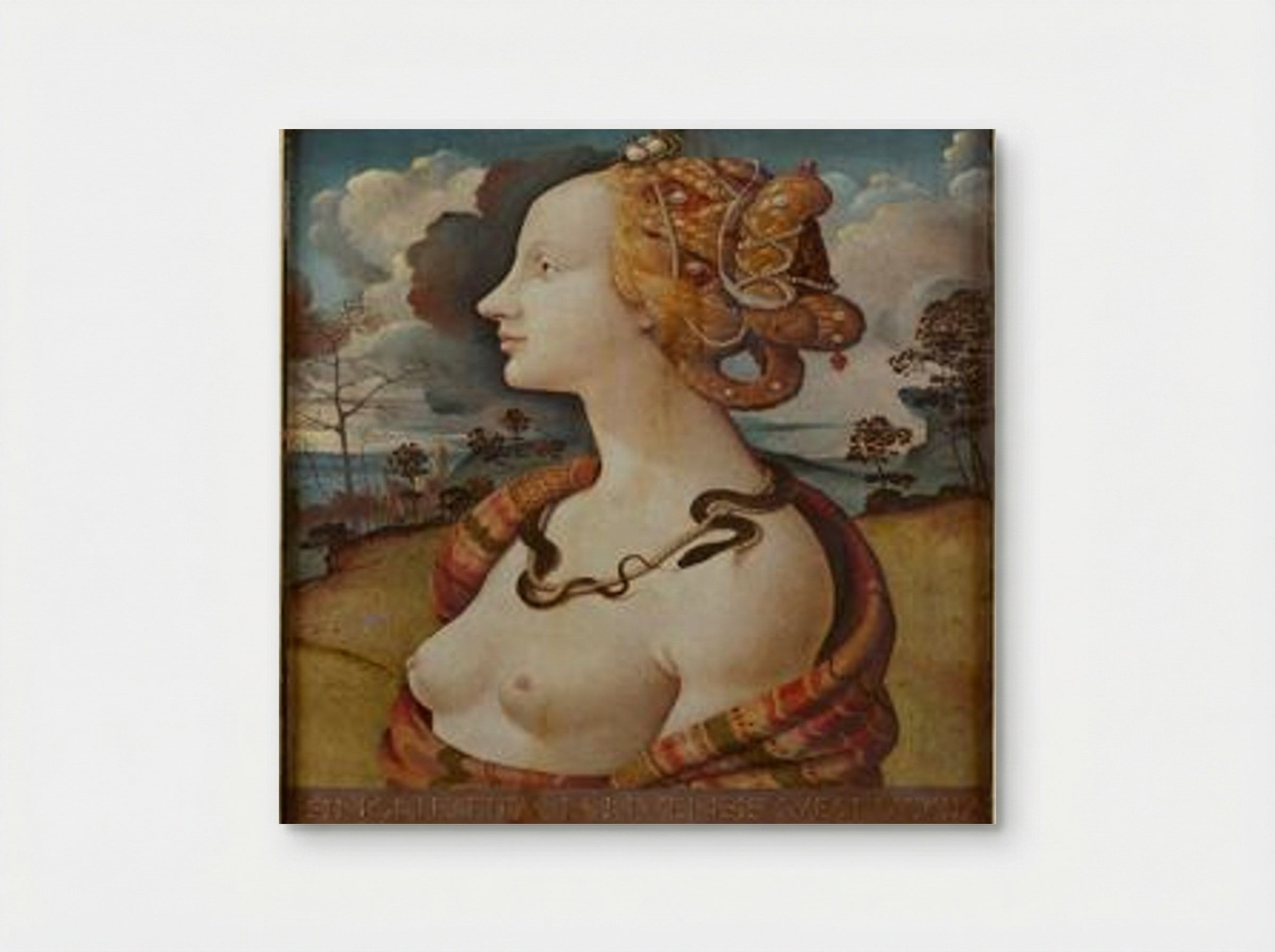 Portrait of Simonetta Vespucci as Cleopatra - Piero di Cosimo - Poster